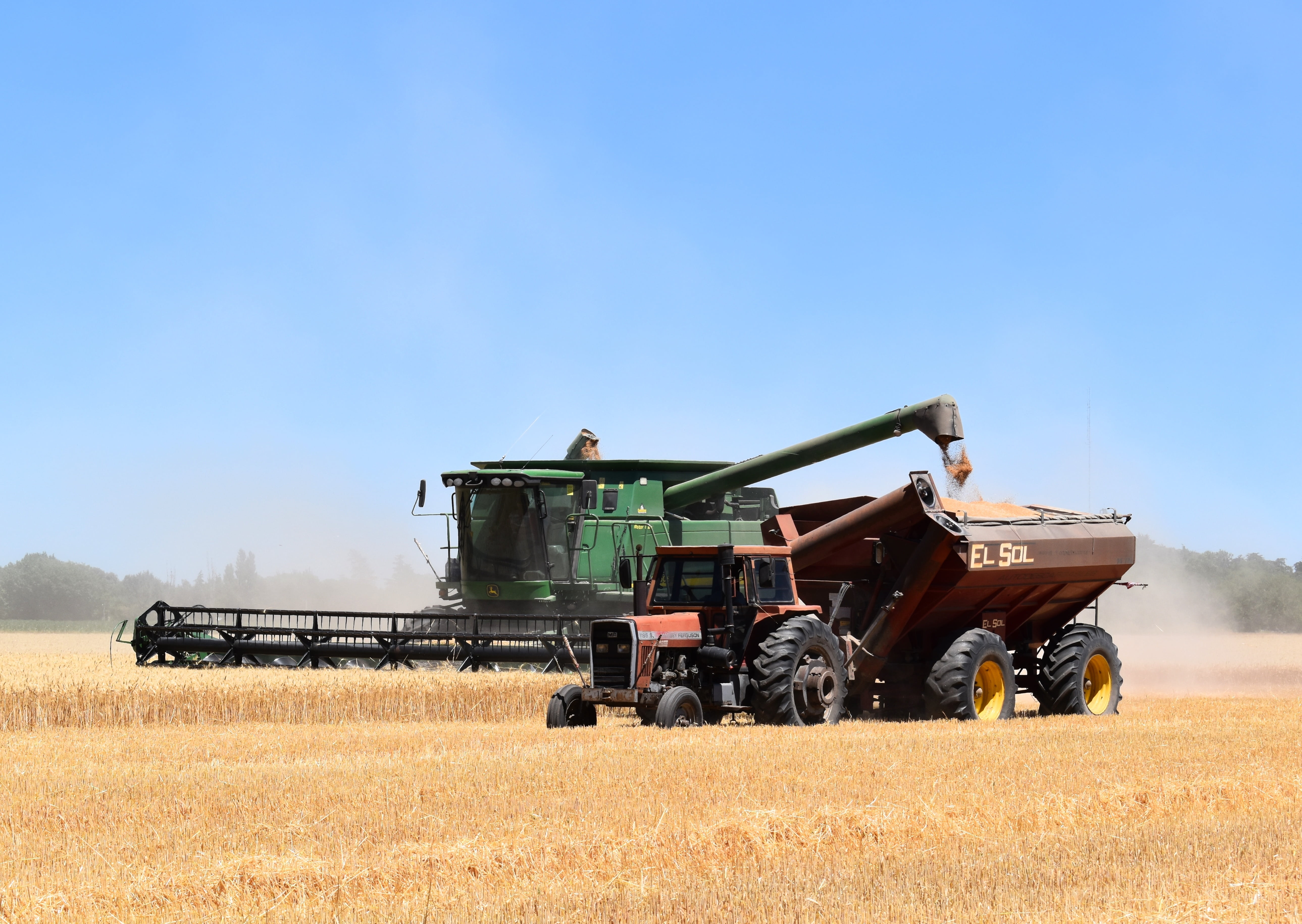 land vehicle, day, nature, outdoors, wheat, farmer, occupation, farm, field, 5K, landscape, cereal, copy space, agriculture, rice, transportation, rural scene, HD Wallpaper