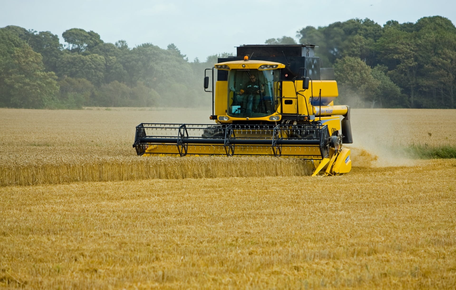 landscape, green, wheat field, yellow, harvester, beautiful, land vehicle, Harvest, transportation, harvesting, growth, cereal plant, dust, Wheat, agricultural machinery, HD Wallpaper