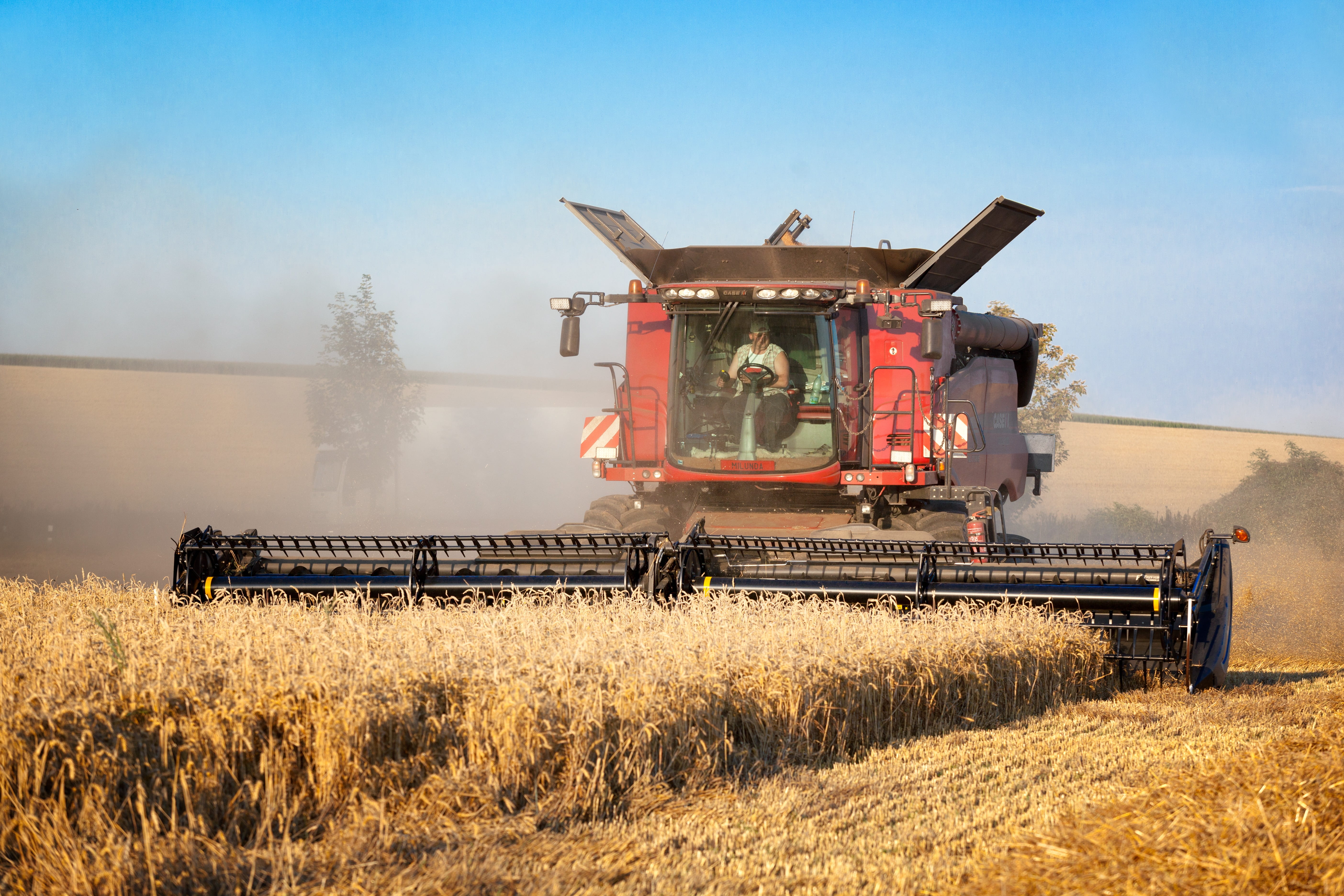 rural scene, agriculture, nature, farm, agricultural machinery, day, wheat, summer, landscape, corn on the cob, outdoors, reaping grain, land vehicle, cereal plant, HD Wallpaper