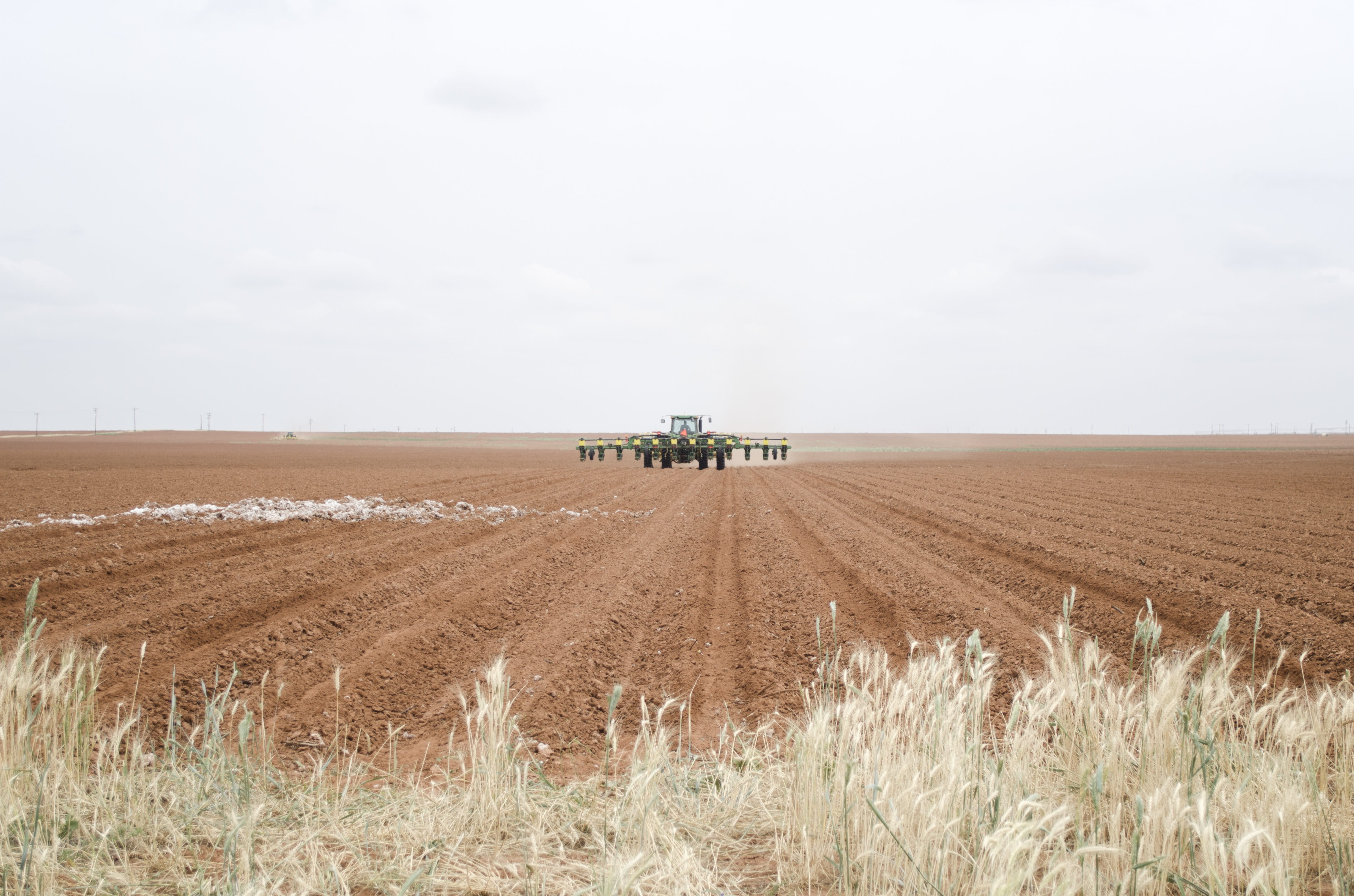 american, Texas, landscape, harvesting, New Mexico, desolate, day, growth, plant, no people, environment, transportation, farm, dirt, Cotton, Tractor, ripe, HD Wallpaper