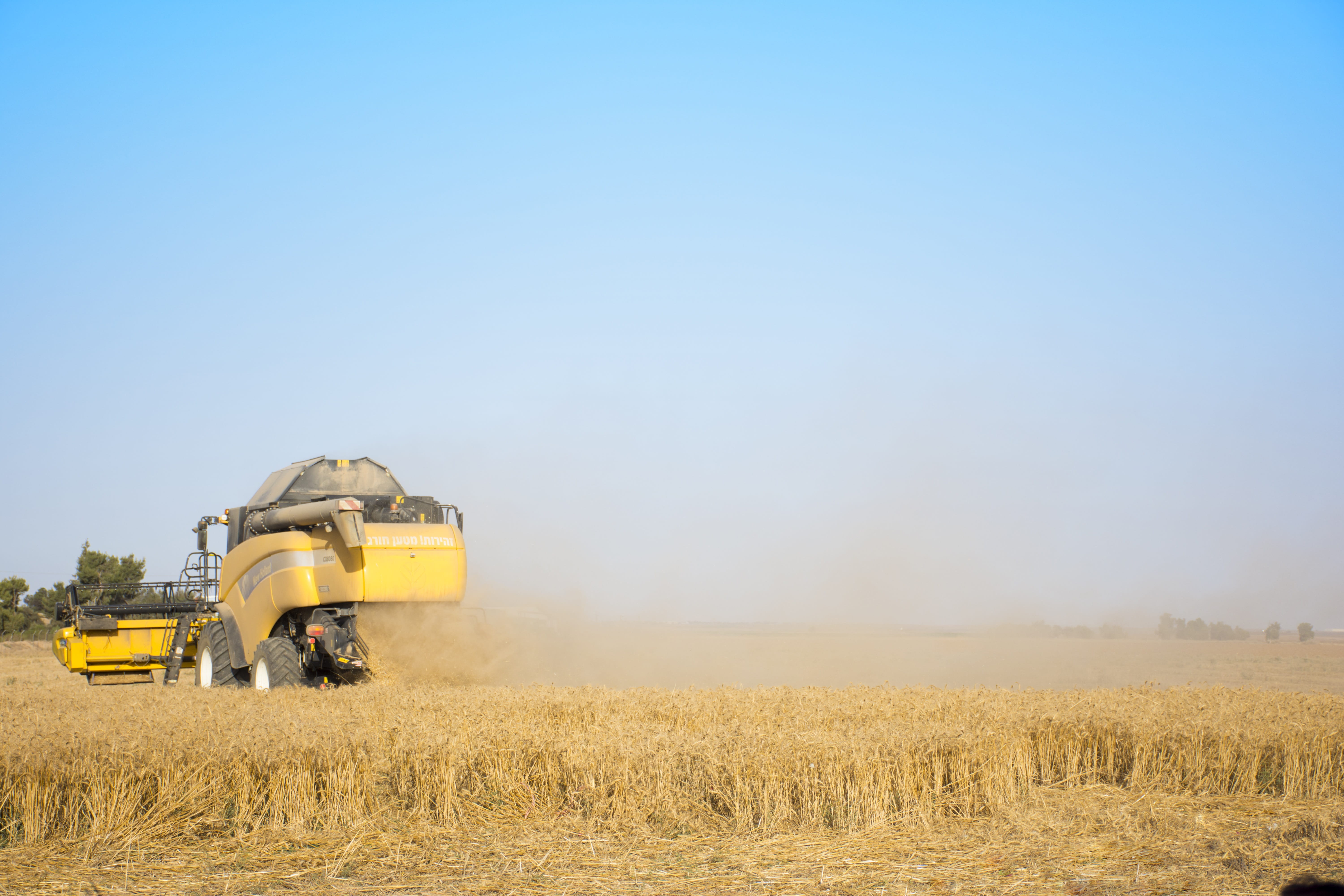 agriculture, plant, nature, farm, harvest, hay, golden, agricultural machinery, combine harvester, israel, clear sky, 5K, farmer, grain, land, copy space, HD Wallpaper