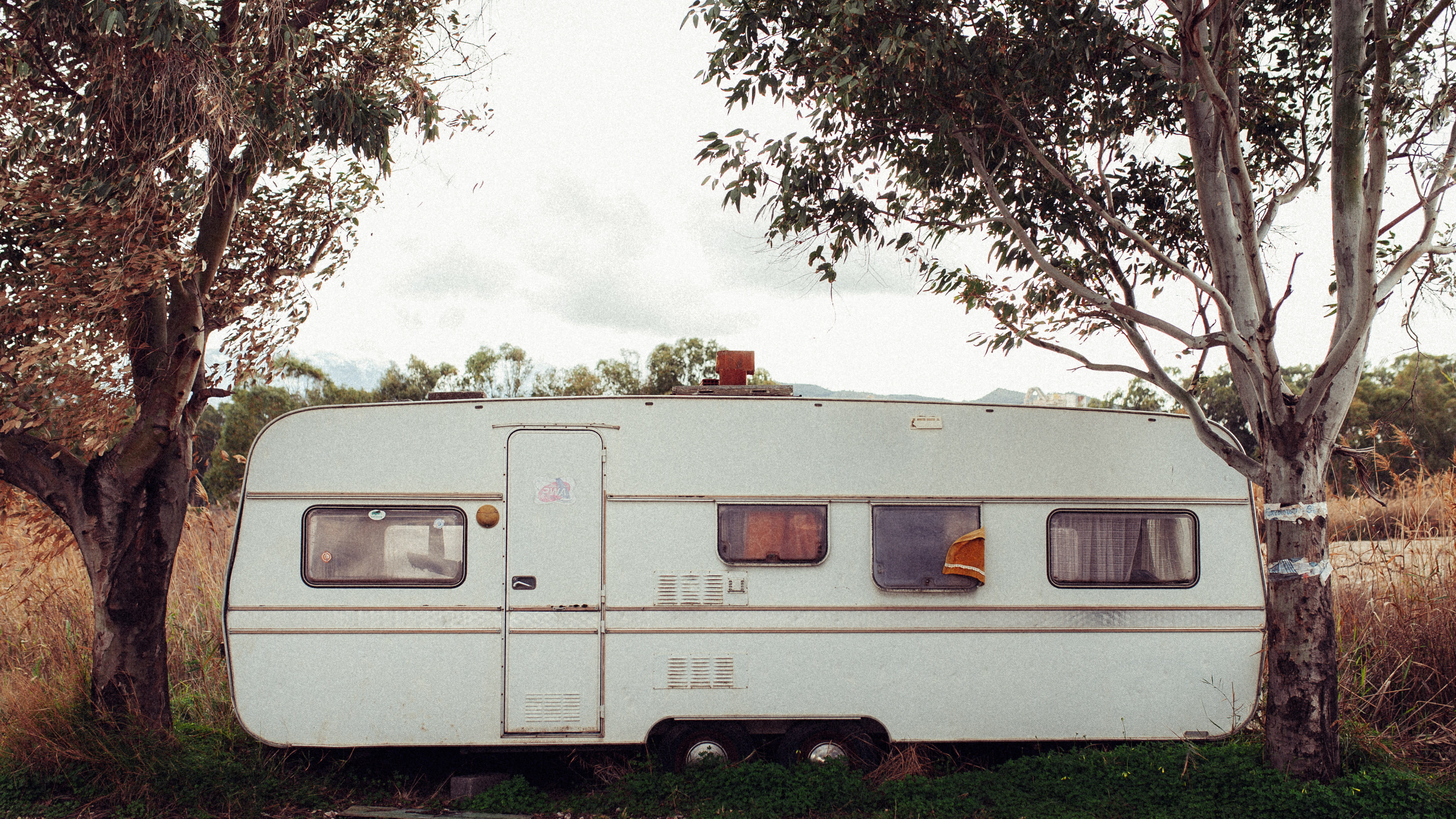 sky, old, transportation, land vehicle, trailer, trees, white, public transportation, abandoned, green, outdoors, mode of transportation, no people, 4K, HD Wallpaper