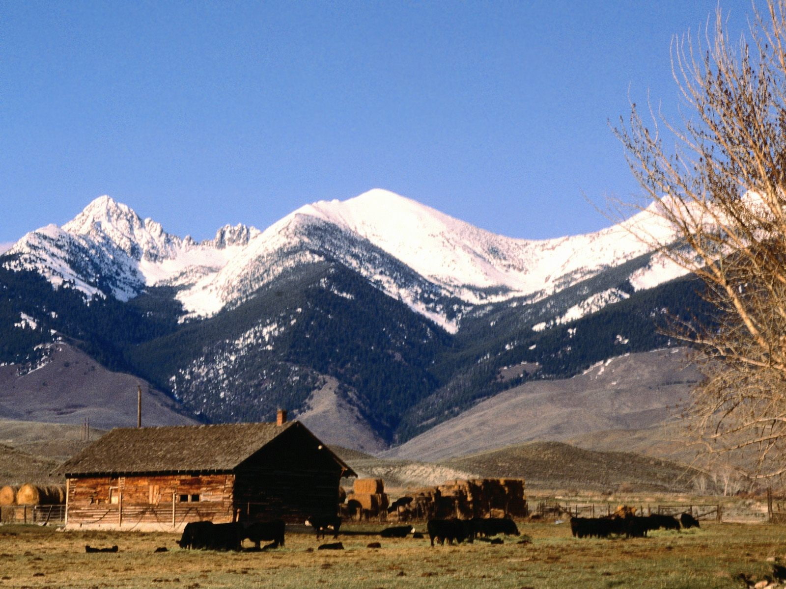 mountains, cold temperature, outdoors, building, house, 720P, environment, scenics - nature, barn, land, winter, built structure, landscape, snowcapped mountain, HD Wallpaper