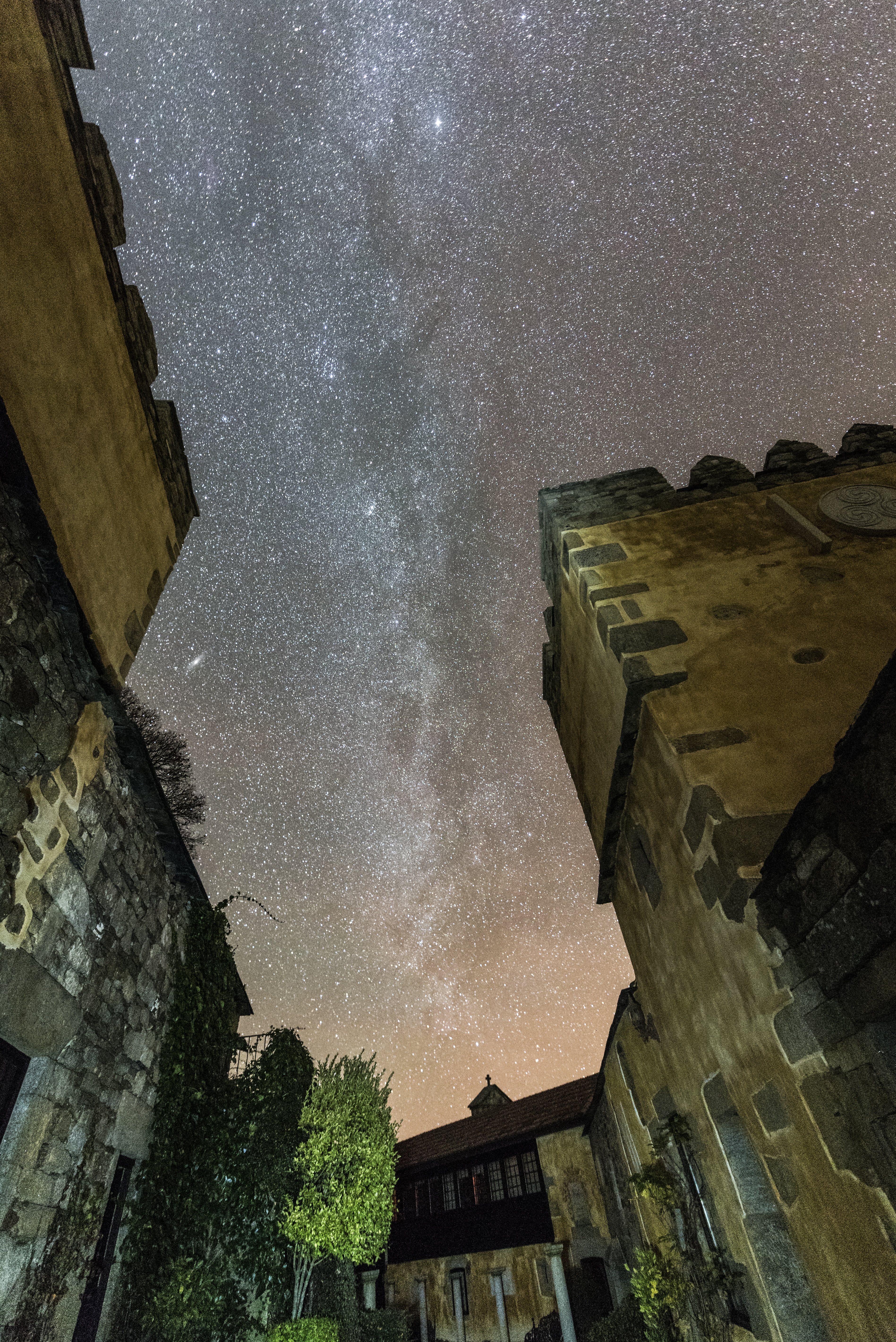 night, star - space, stately, galicia, star field, no people, orense, to close, directly below, plant, firmament, low angle view, outdoors, chaguazoso, Phone HD Wallpaper