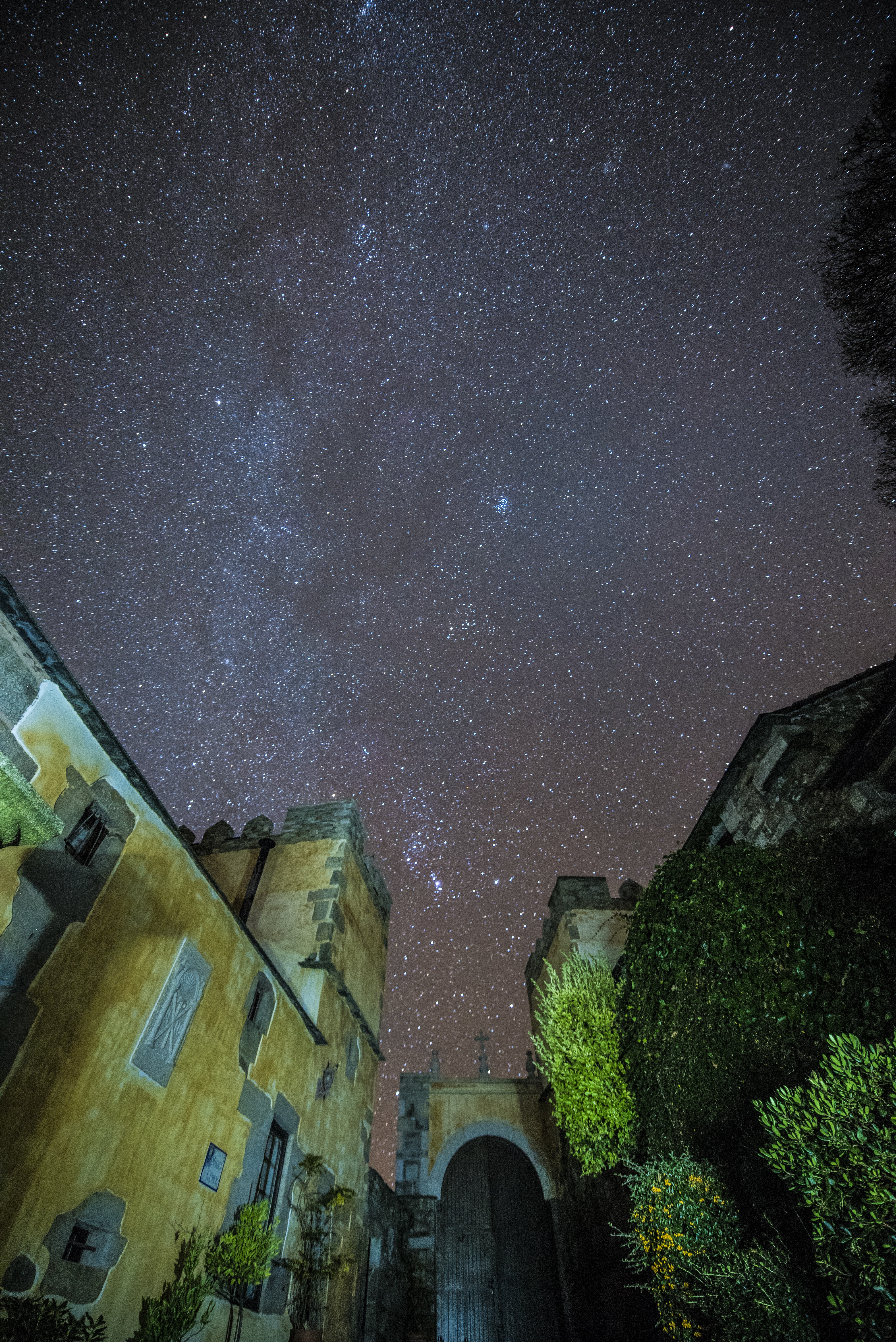 building exterior, night, sky, space, astronomy, galaxy, no people, building, nature, low angle view, plant, milky way, space and astronomy, orense, constellation, Phone HD Wallpaper