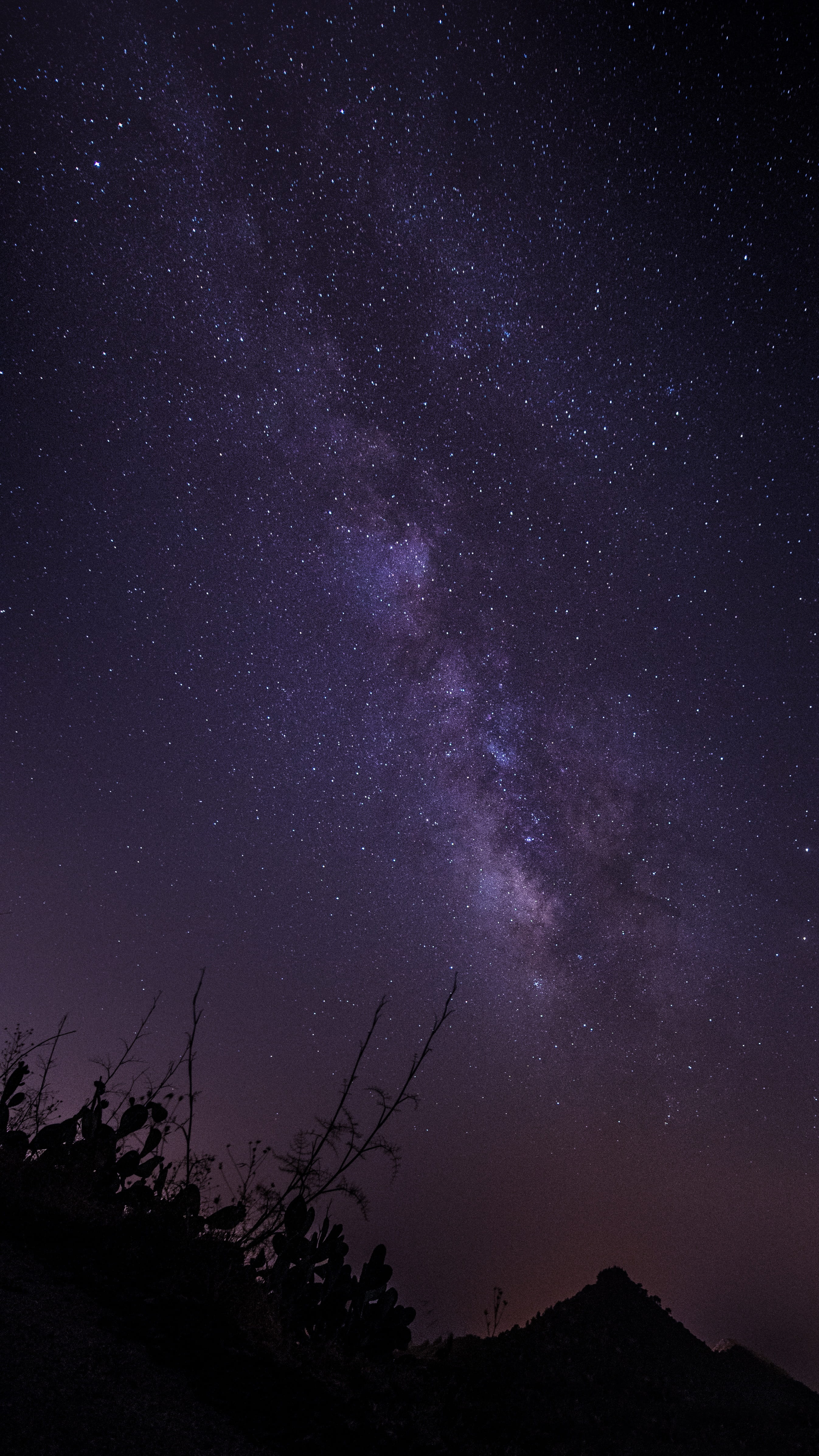 constellation, low angle view, idyllic, long exposition, sky, star field, tranquility, universe, Milky Way, nature, space and astronomy, Night, space, scenics - nature, Phone HD Wallpaper