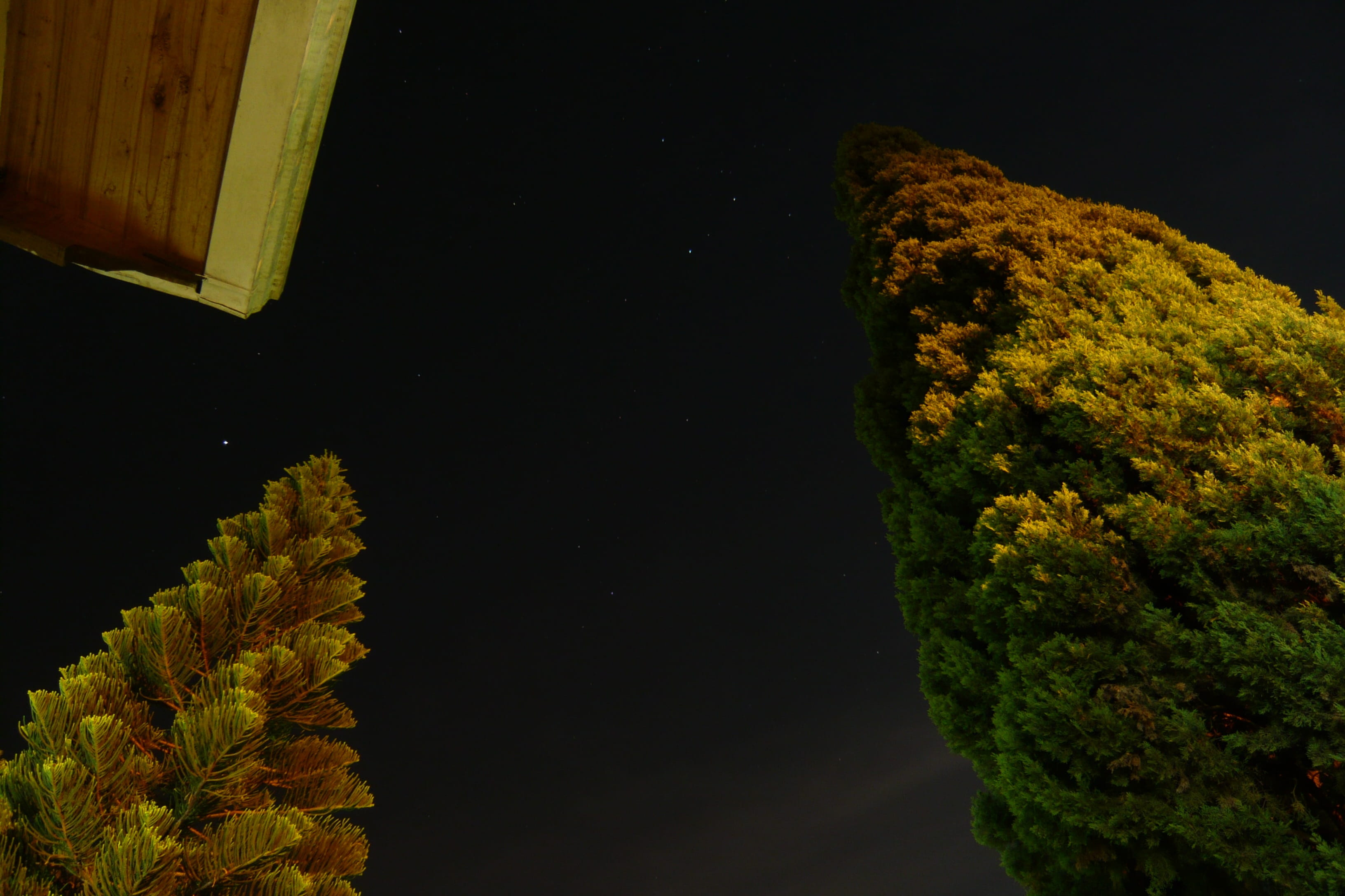 Backyard, Night, firmament, Sky, Tree, close-up, 2K, plant part, night, no people, Lights, water, beauty in nature, green color, nature, constellations, HD Wallpaper