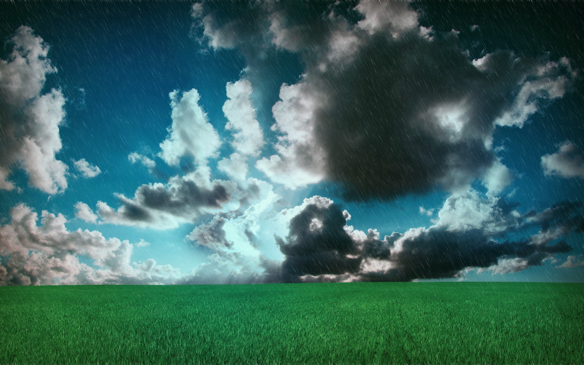 green Color, plant, nature, no People, meadow, pasture, tranquility, summer, cloud - Sky, horizon, wheat, blue, backgrounds, color Image, 1080P, cloudscape, HD Wallpaper
