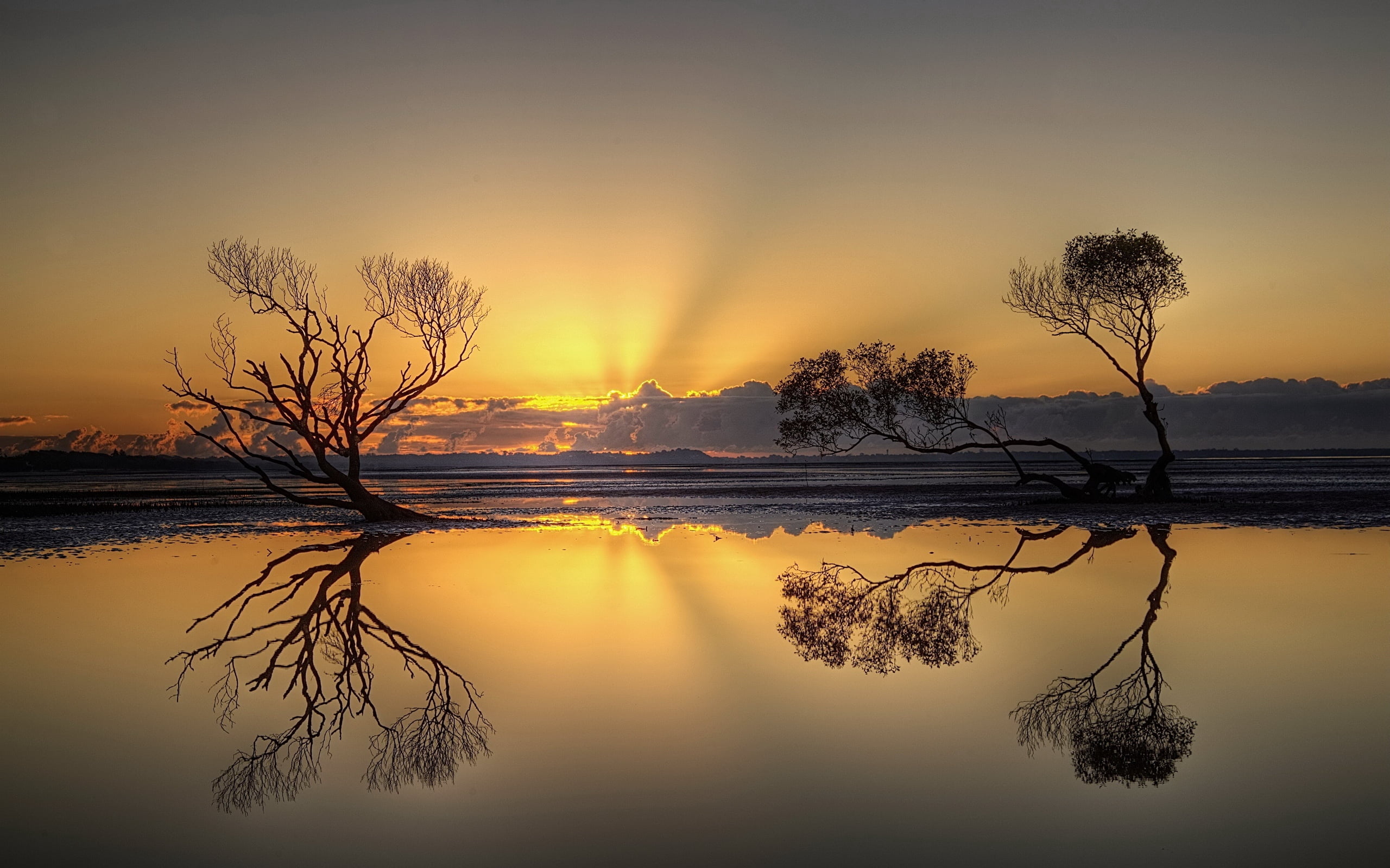 plant, decline, non-urban scene, reflection, cloud - Sky, outdoors, landscape, silhouette, 2K, back Lit, nature, tranquil Scene, backgrounds, scenics, HD Wallpaper