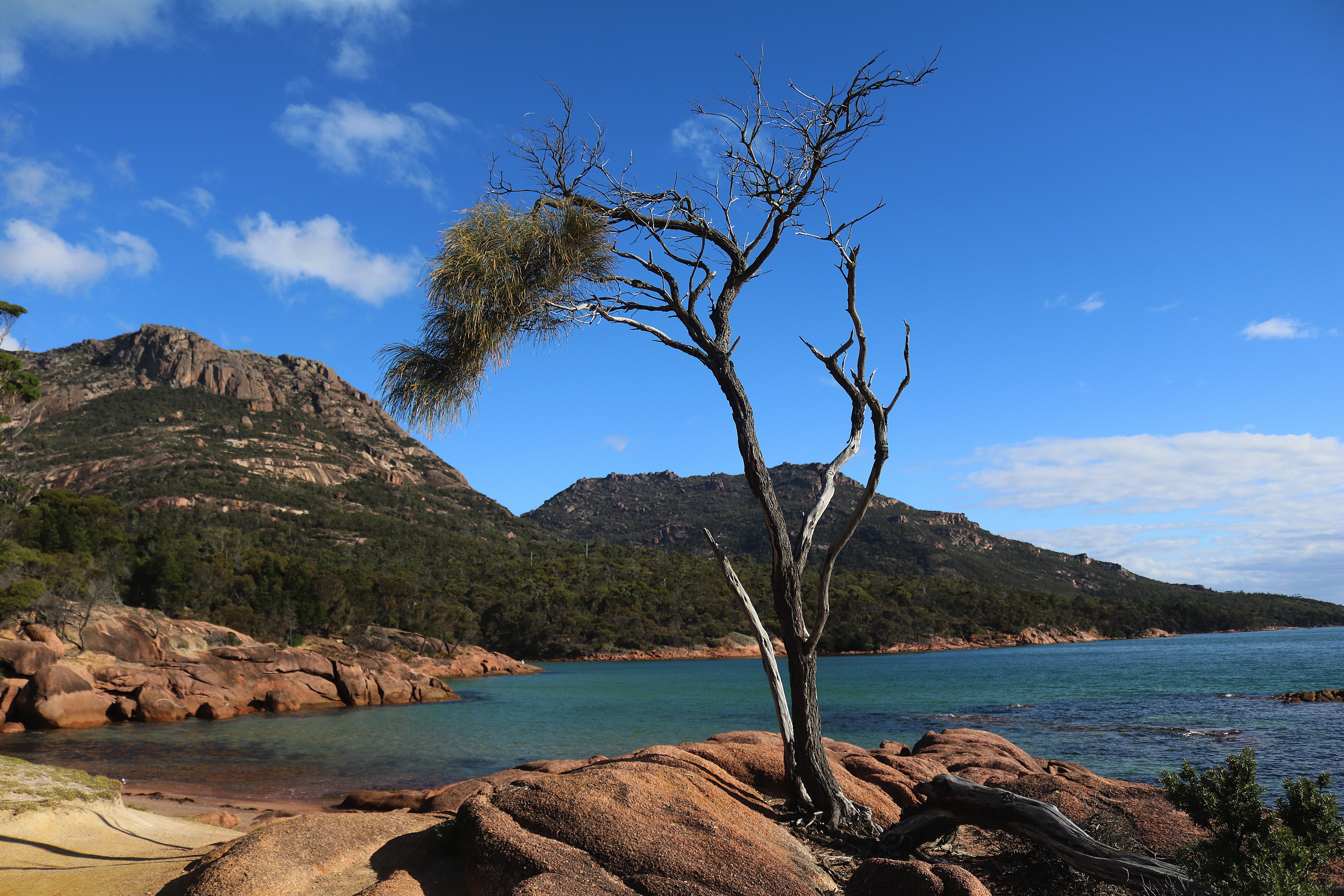 plant, rock, landscape, tranquility, solid, beach, freycinet national park, beauty in nature, romantic, idyll, 8K, outdoors, formation, bank, rocky coastline, HD Wallpaper
