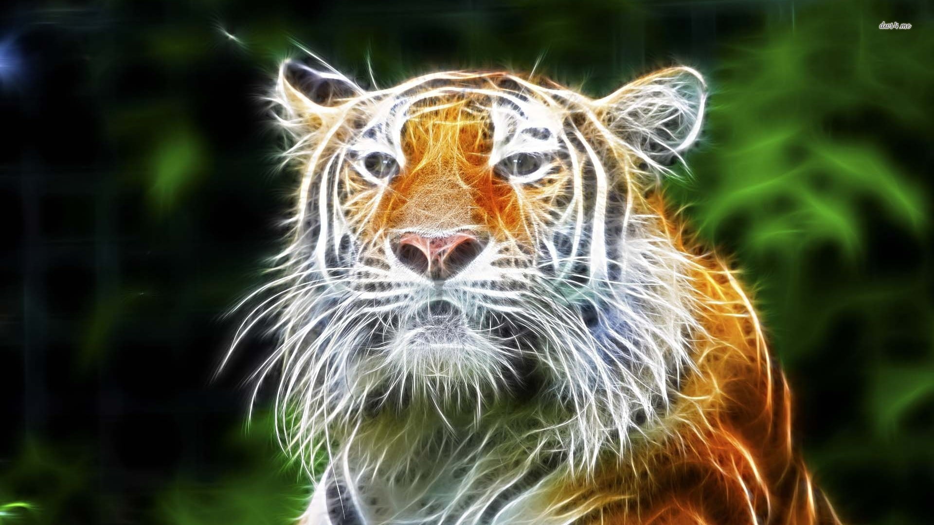 unreal, animal, orange, 1080P, white, tiger, HD Wallpaper