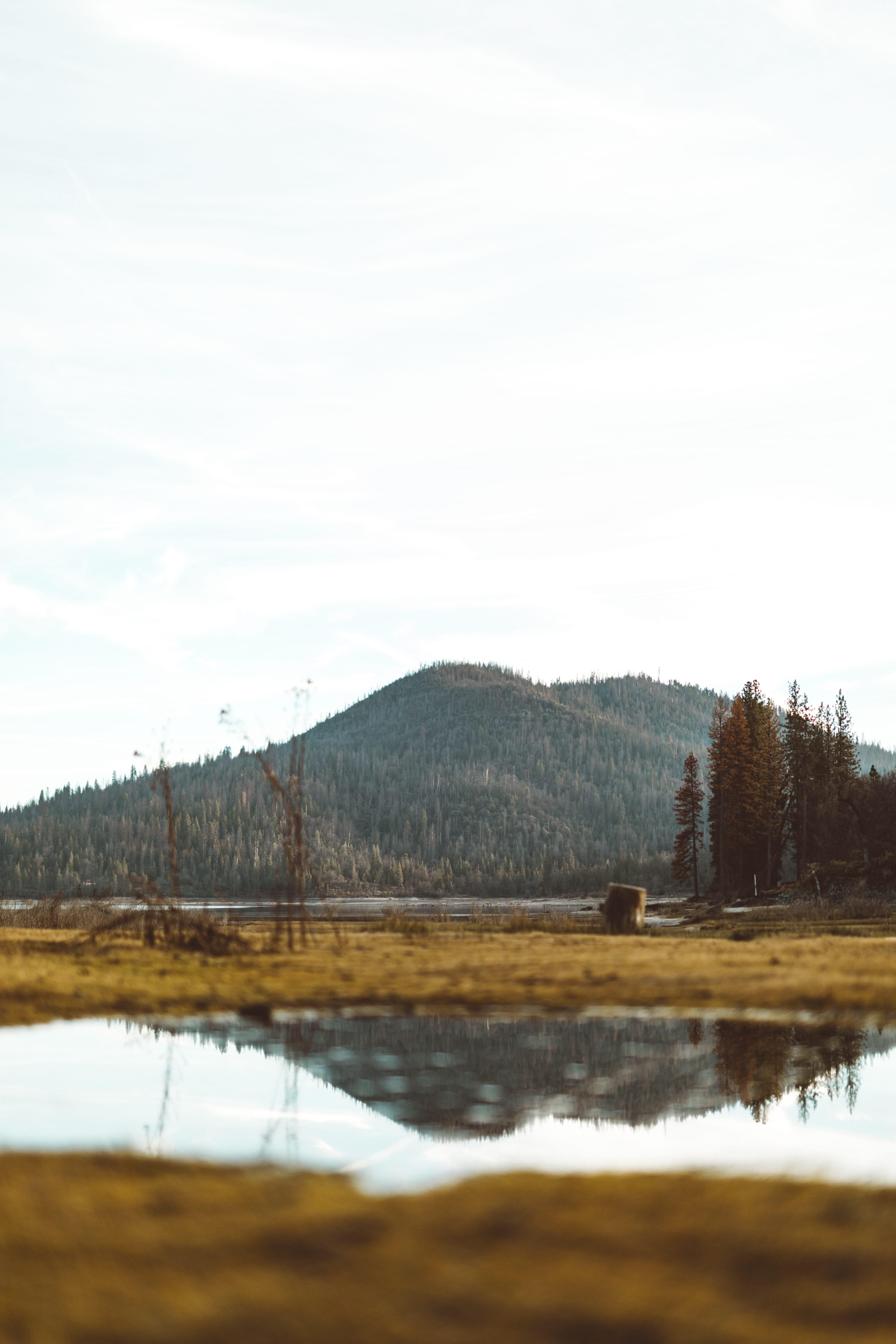 puddle, sky, environment, tranquility, no people, scenics - nature, housing, day, swamp, building, landscape, water, bog, 5K, tress, house, plant, marsh, Phone HD Wallpaper