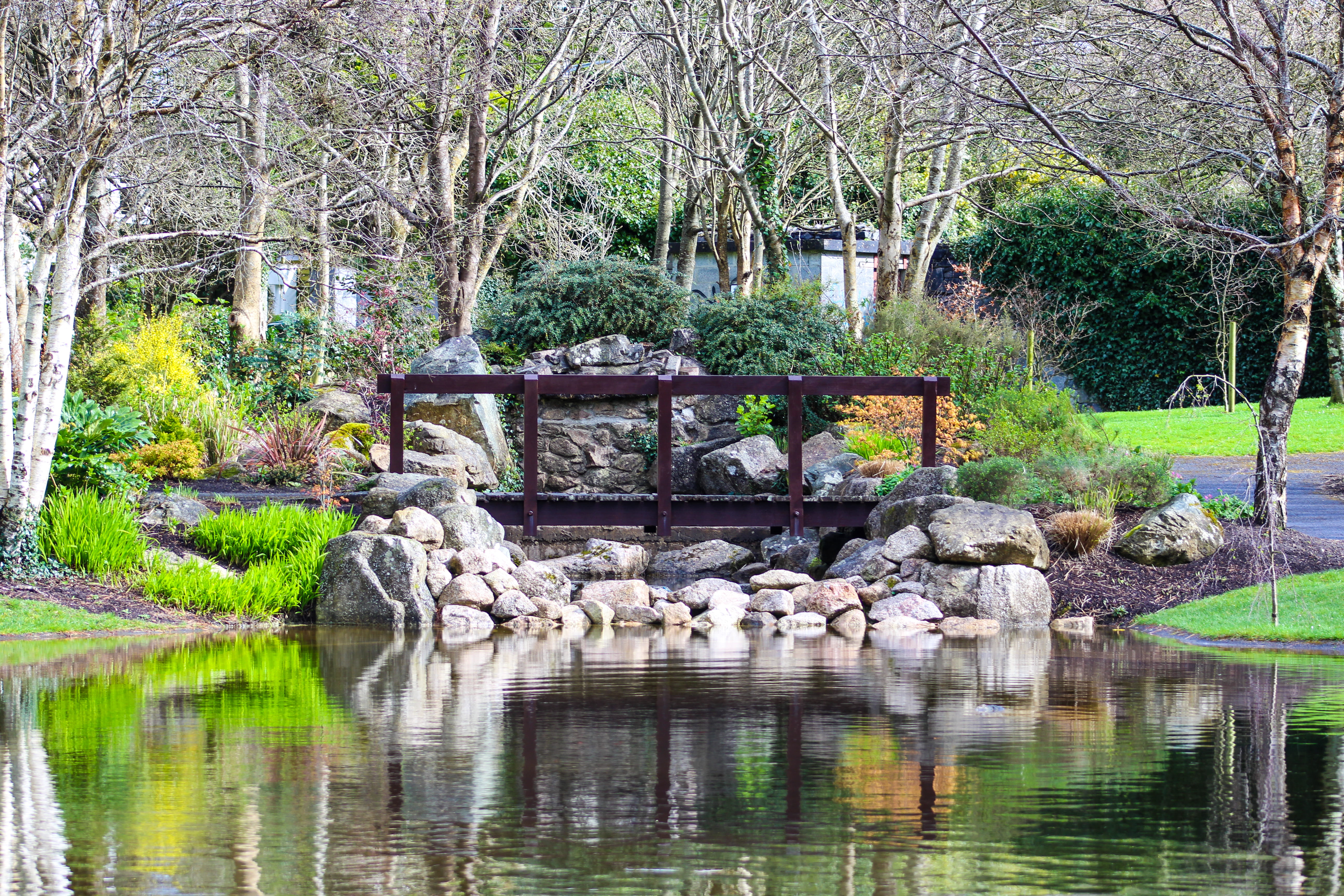 creek, bog, outdoors, furniture, bridge, waterfront, water, land, marsh, reflection, lake, plant, tree, bench, villa, housing, nature, solid, stream, arbour, HD Wallpaper