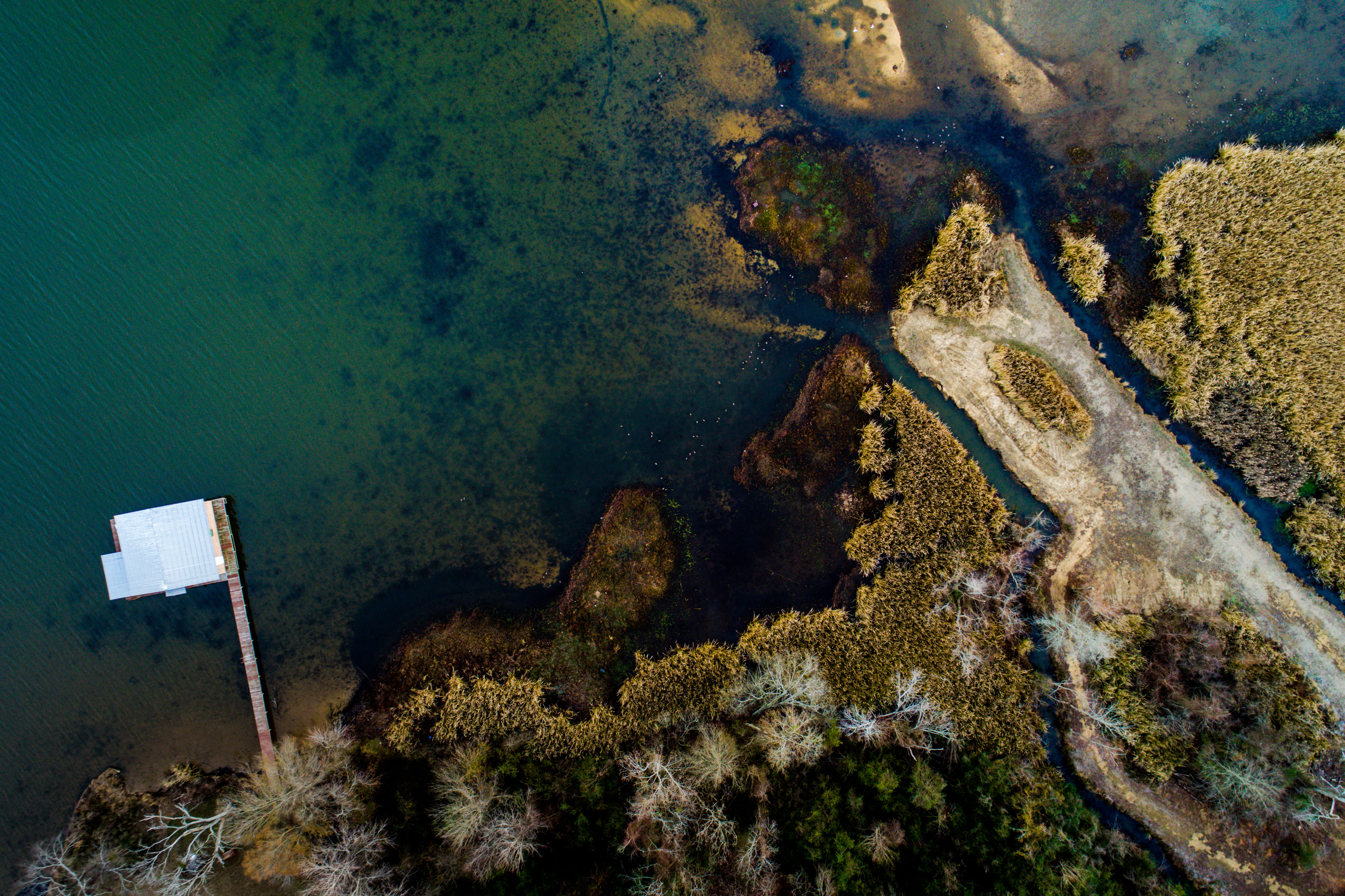 aerial view, coral, body, top view, reef, coral reef, drone view, ocean, pattern, beauty in nature, united states, land, guntersville, green color, nature, HD Wallpaper