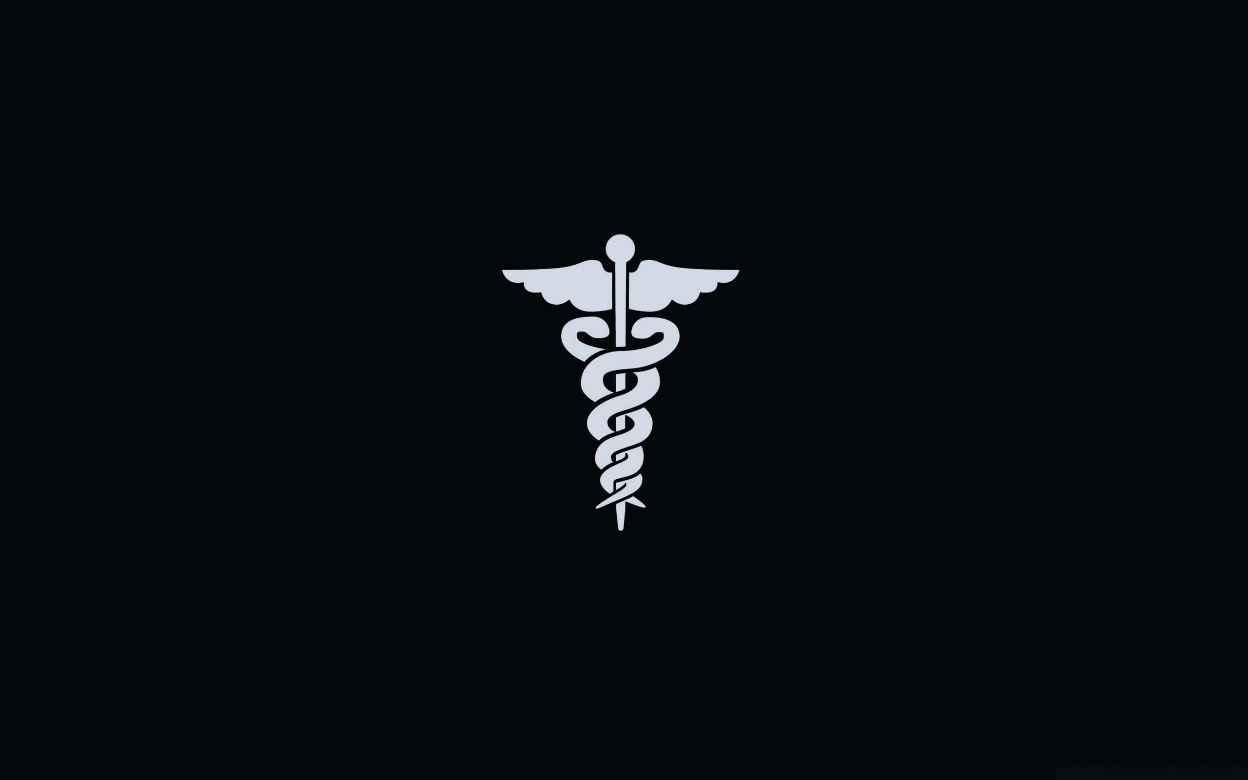 representation, bird, flying, indoors, religion, christianity, sword, night, black background, symbol, animal themes, studio shot, communication, creativity, HD Wallpaper