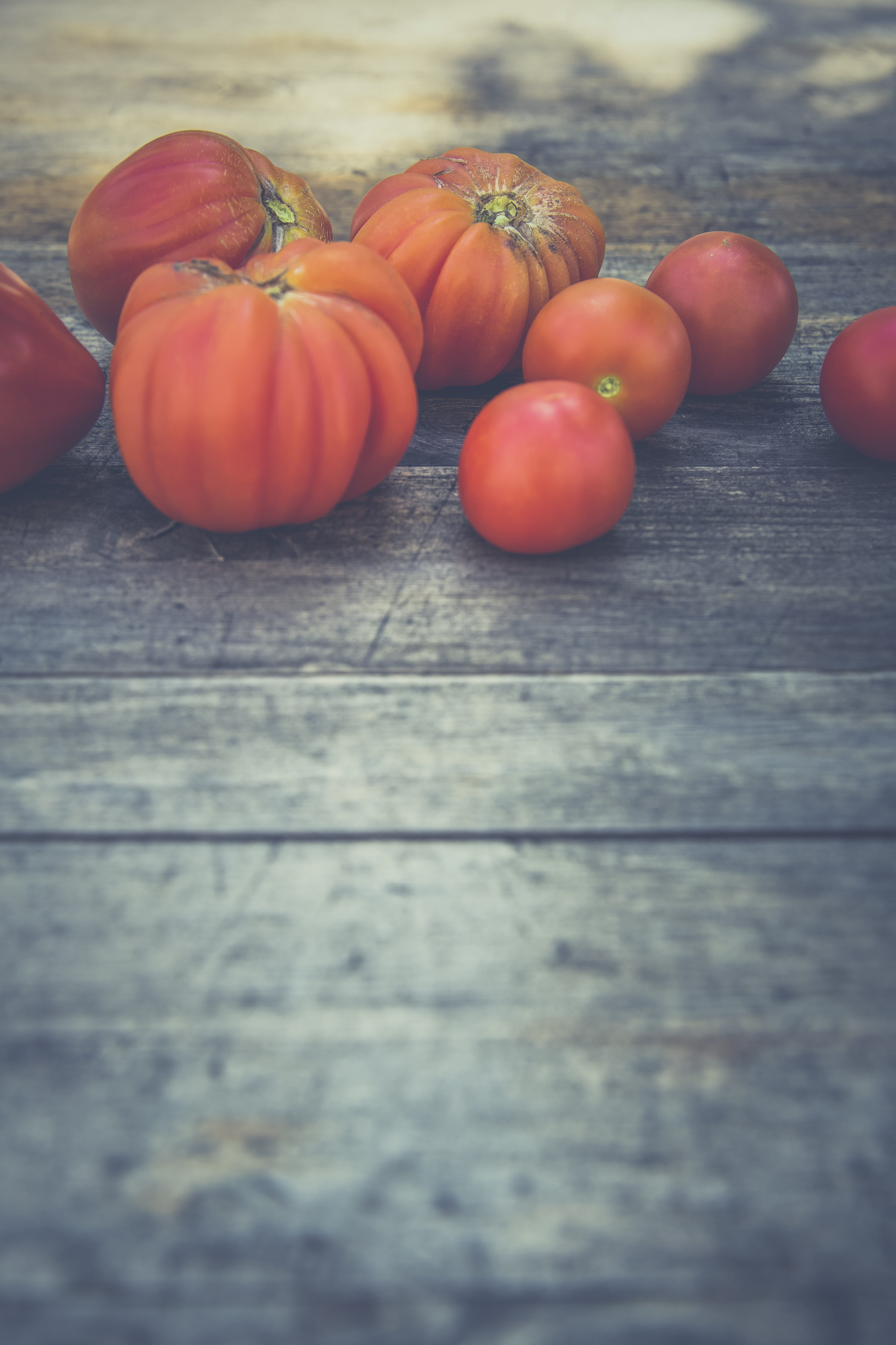 table, vegetable, selective focus, harvest, agriculture, cultivation, graze, old crop, bloom, breeding, tomato, wellbeing, wood - material, breed, horticulture, Phone HD Wallpaper