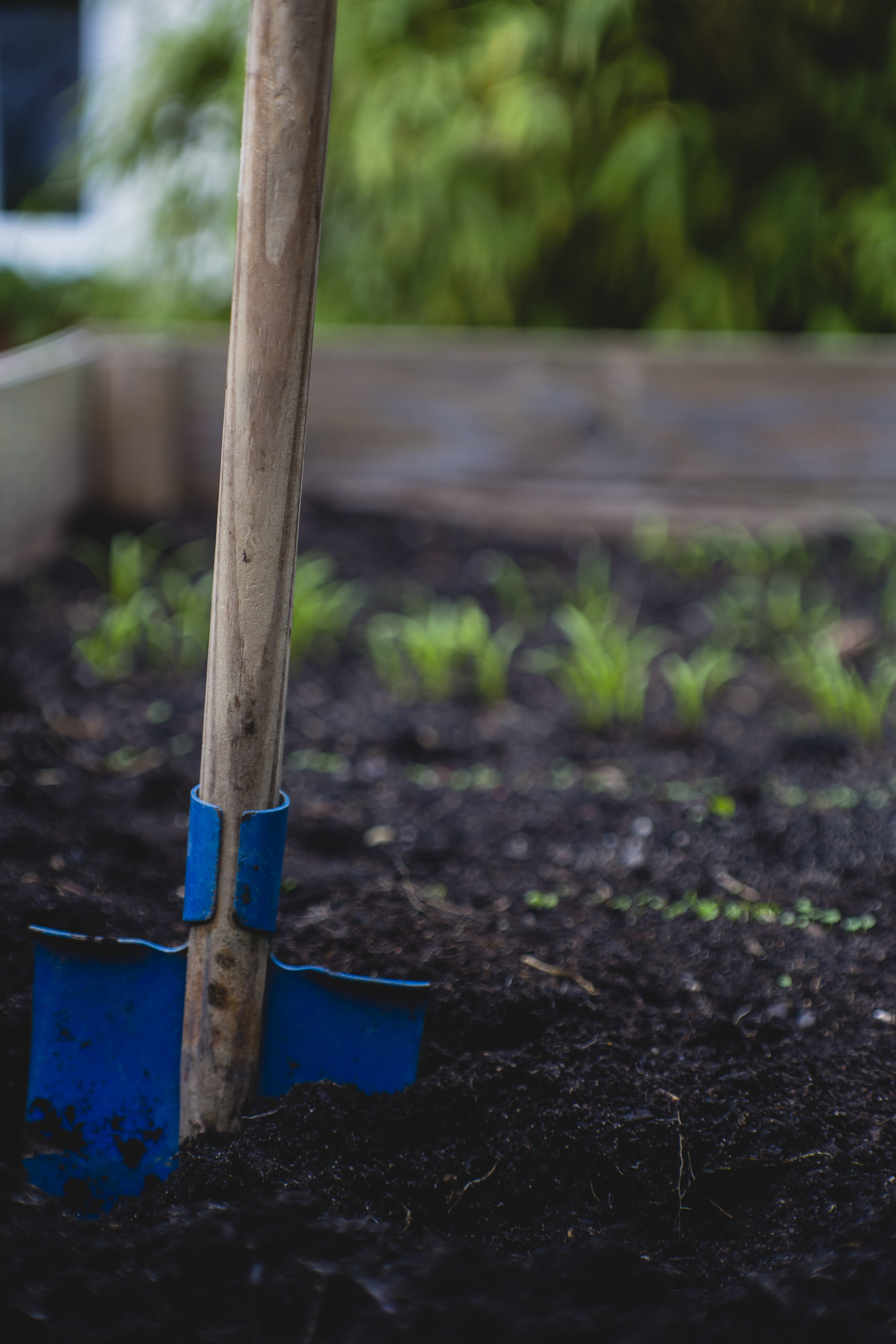 wood, planting, focus on foreground, green color, plant, gardening, erlangen, front or back yard, horticulture, shovel, wood - material, field, guerilla, Phone HD Wallpaper