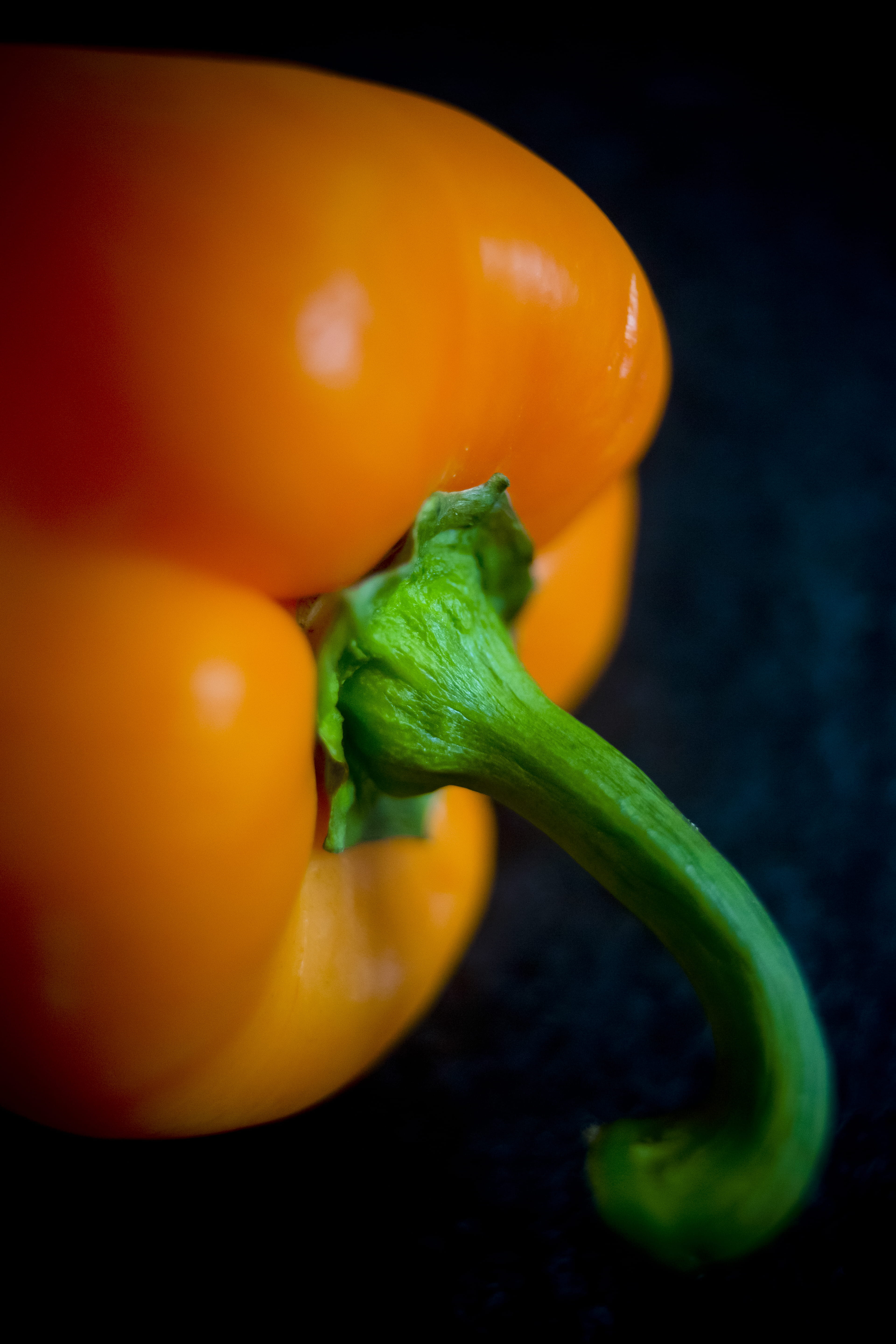 agriculture, locavore, old crop, food and drink, guerilla, vegetable, bio, horticulture, breed, still life, food, orange, harvesting, no people, paprika, Phone HD Wallpaper