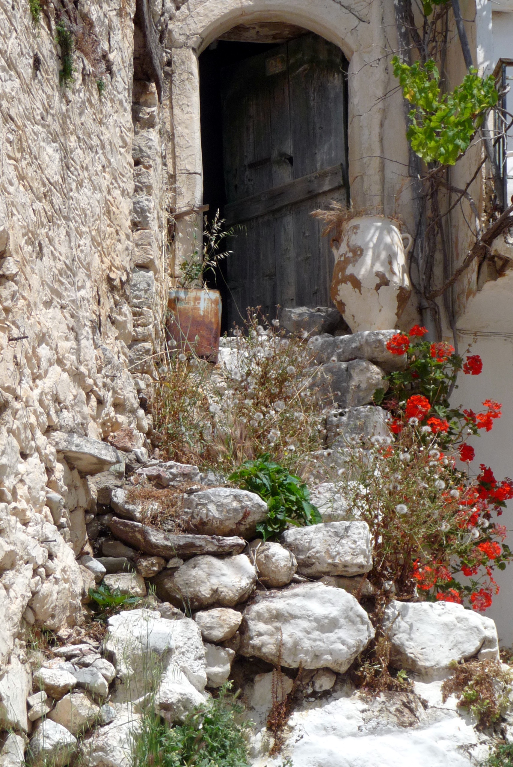 potted plant, building, greece, rock, water, stone - object, stairs, growth, stone wall, crete, building exterior, uins, old, plant, outdoors, 2K, no people, Phone HD Wallpaper