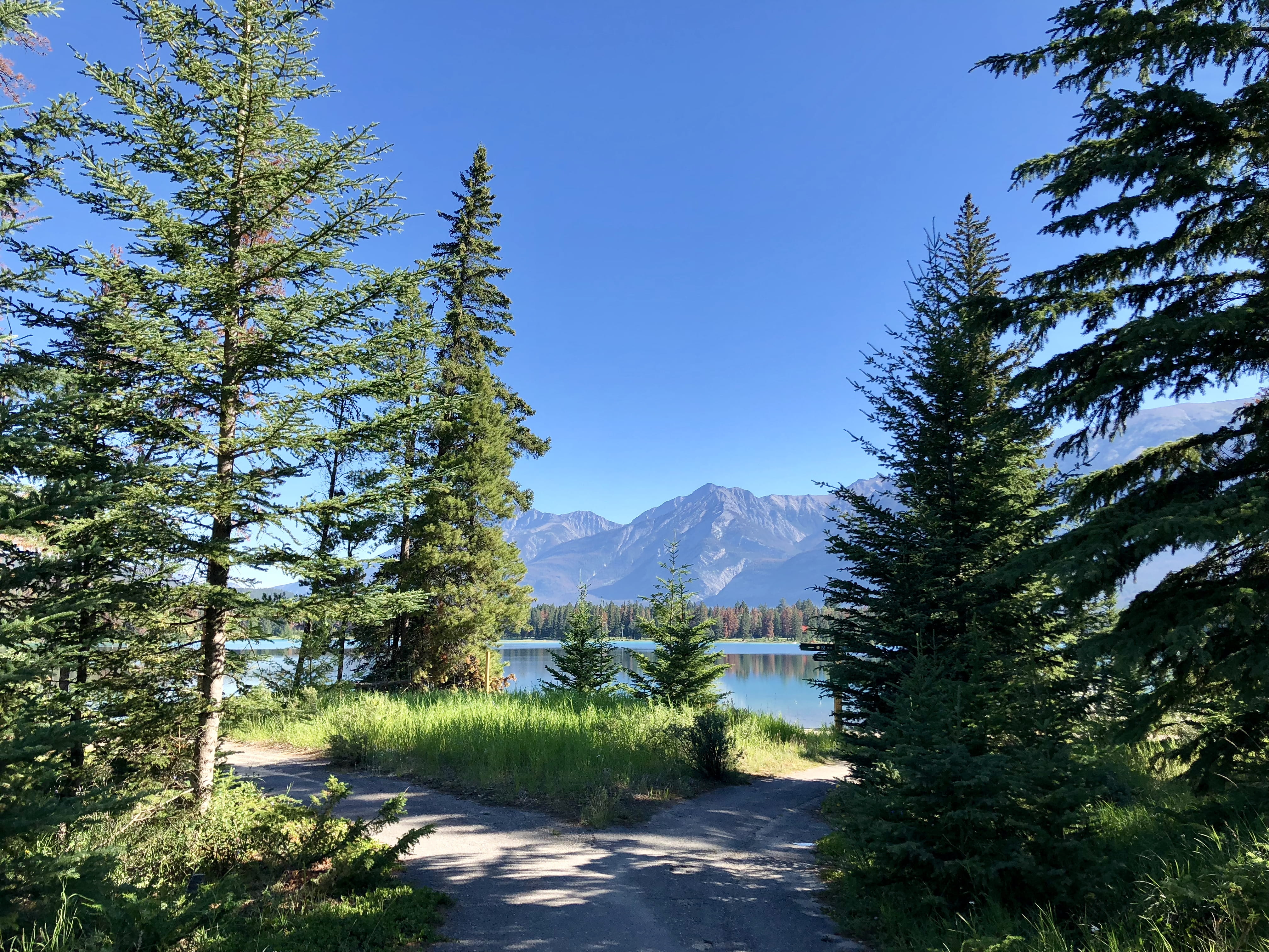 lake edith, nature, canada, sunlight, mountain, tranquil scene, growth, green color, jasper, mountains, blue, clear sky, pine, scenics - nature, landscape, HD Wallpaper