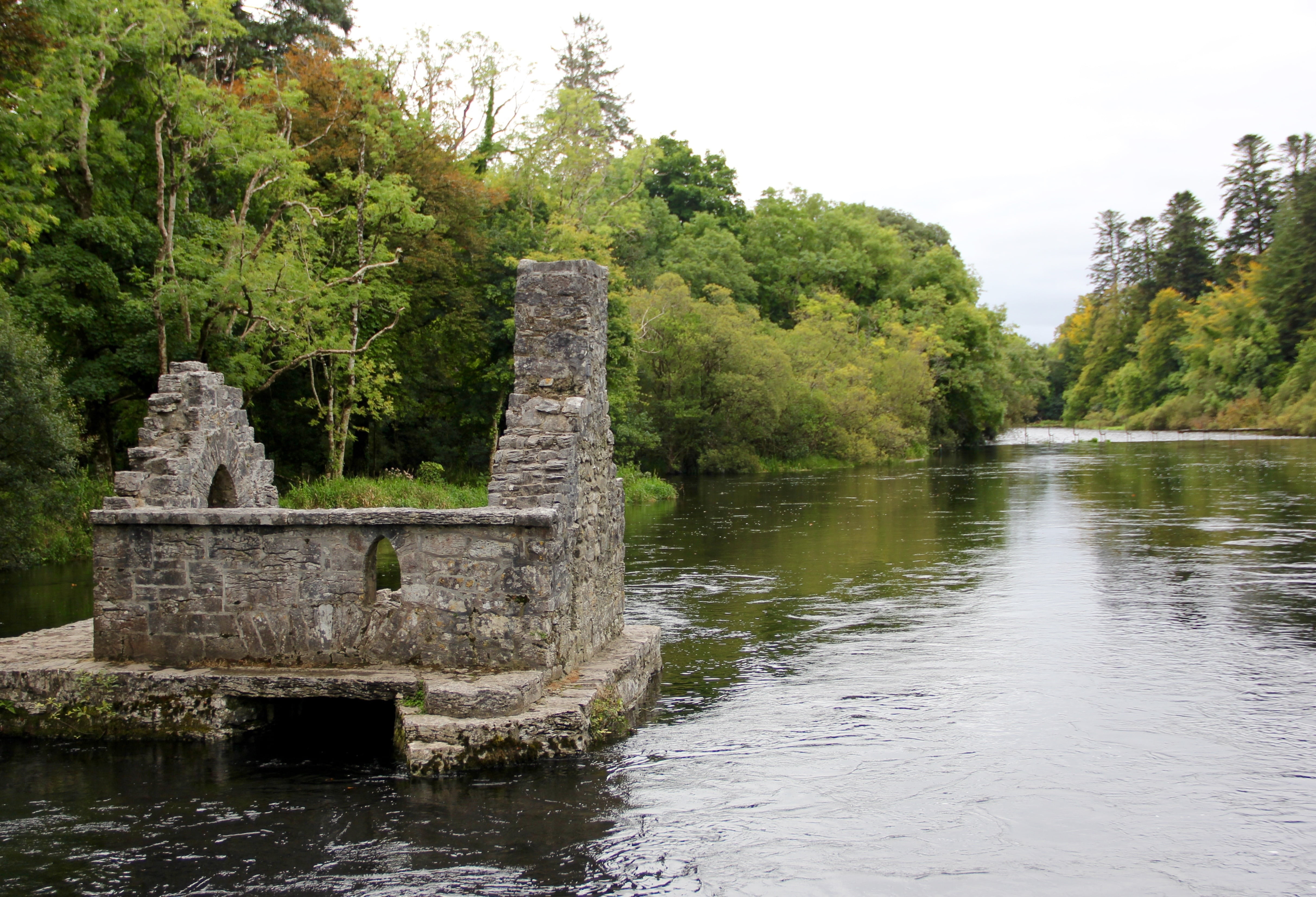 plant, outdoors, ruined, the past, tree, green color, 4K, irish culture, growth, park, christianity, tranquility, beauty in nature, river, lake, day, trees, HD Wallpaper