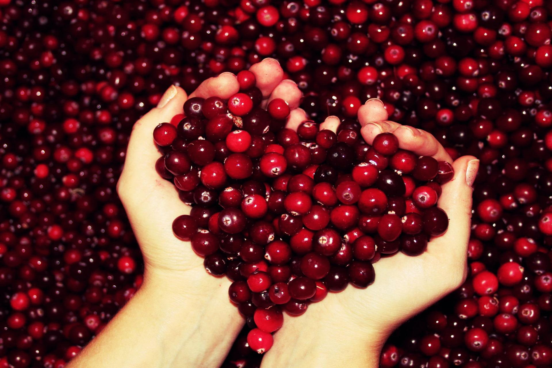 fruits, love heart, love, hands, hd, love fruits, 1080P, 1920x1280, heart, HD Wallpaper