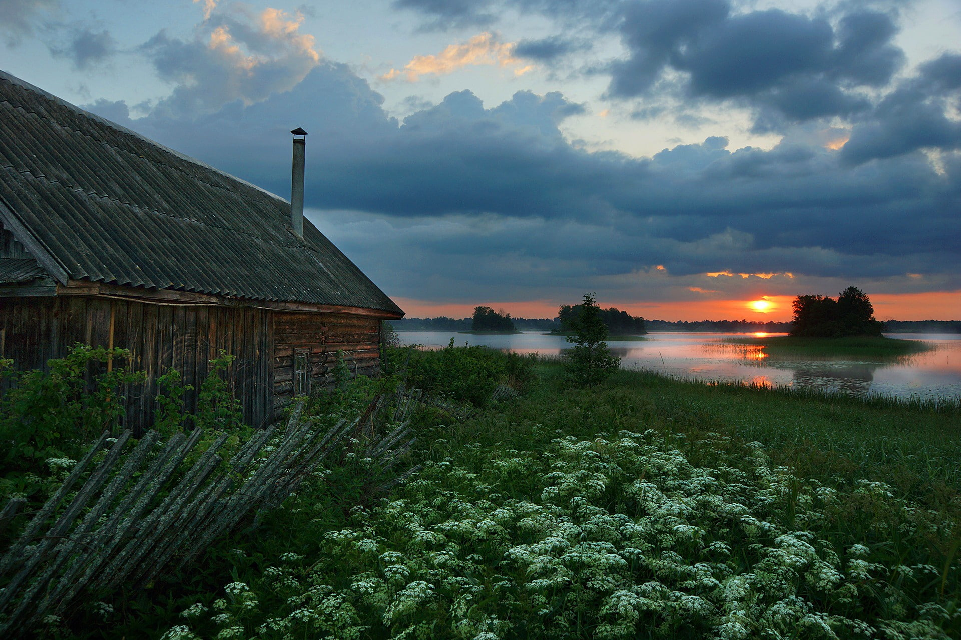 nature, sunset, 1080P, landscape, 1920x1280, plants, HD Wallpaper