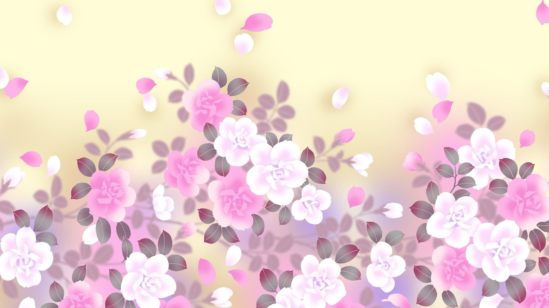 abstract, white, purple, flower Head, blossom, gently, decoration, freshness, shiny, celebration event, studio shot, flower, pink Color, event, springtime, HD Wallpaper