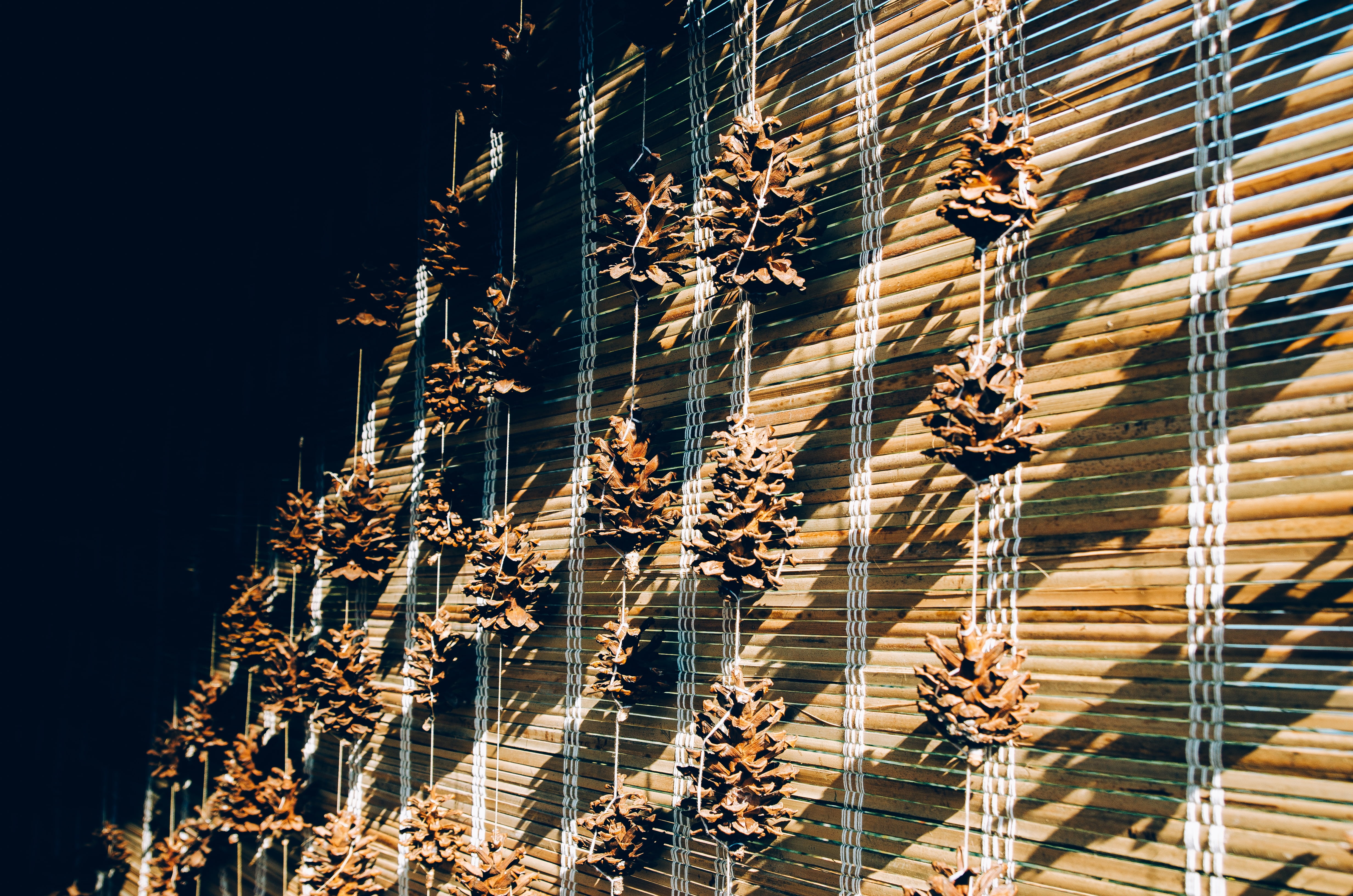 architecture, low angle view, backgrounds, color film, building exterior, tree, gently, still lifes, nature, illuminated, ball, sunny, outdoors, sunlight, HD Wallpaper