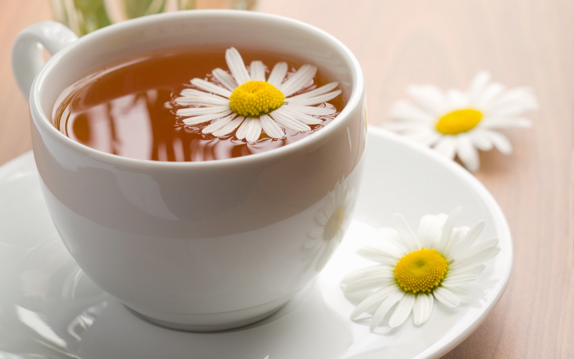 1080P, Daisy, gently, tea, HD Wallpaper
