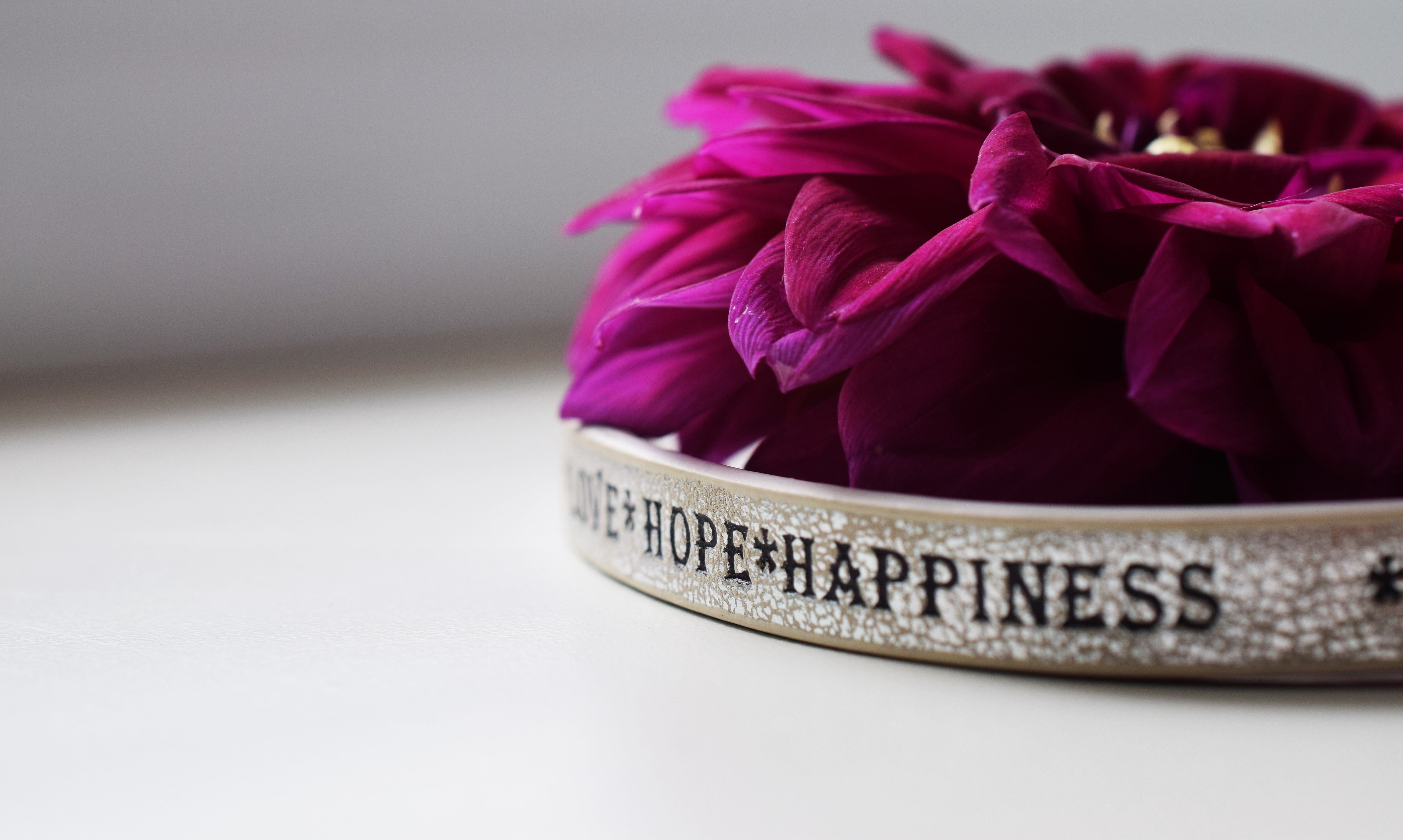 gray background, no people, the inscription, flowering plant, freshness, still life, 5K, gently, happiness, close-up, closeup, nature, plant, flower, text, HD Wallpaper