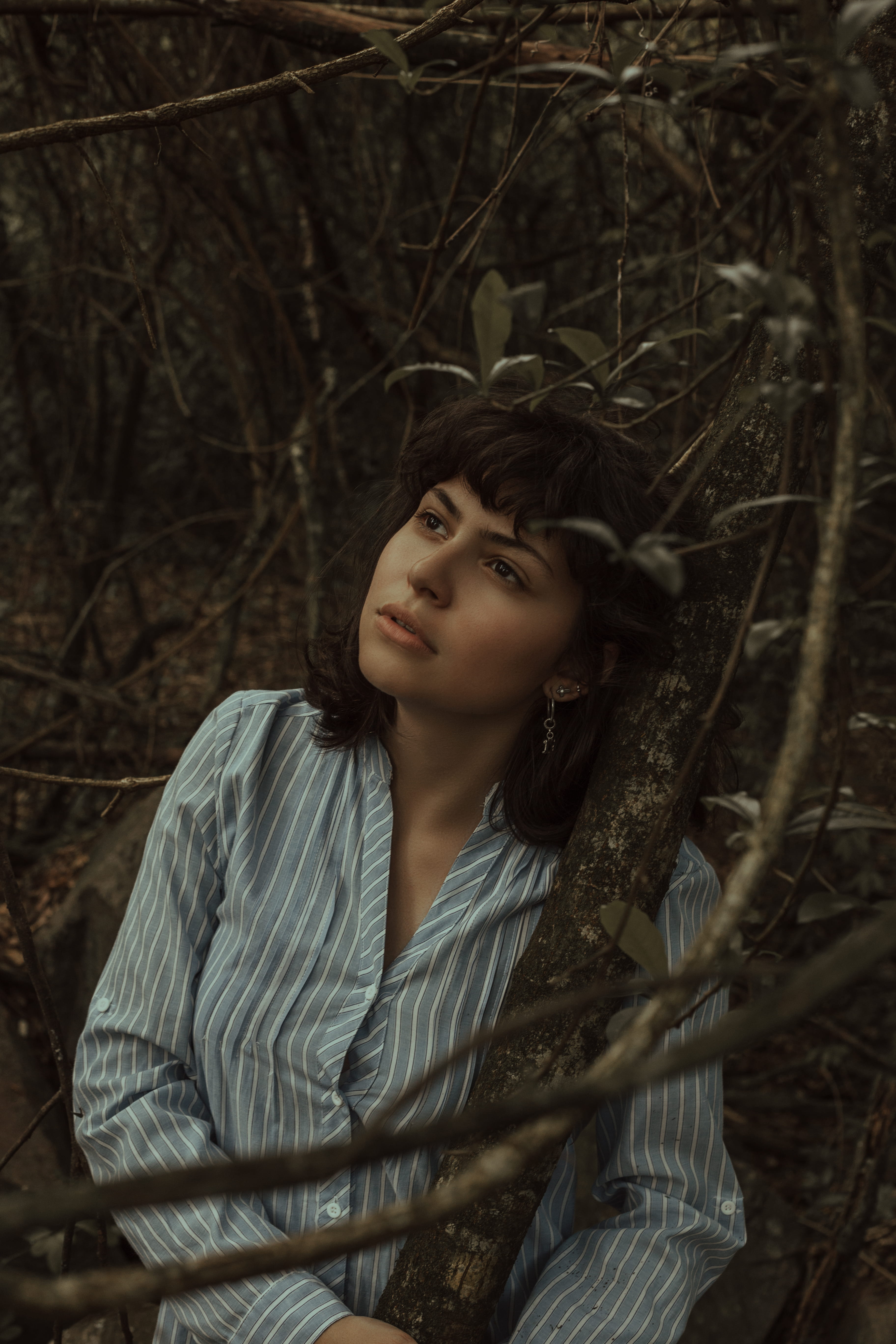 striped, leisure activity, young women, hair, robe, autumn, woman, lifestyles, blue, human, nature, forest, stripe, adult, person, shirt, plant, real people, Phone HD Wallpaper