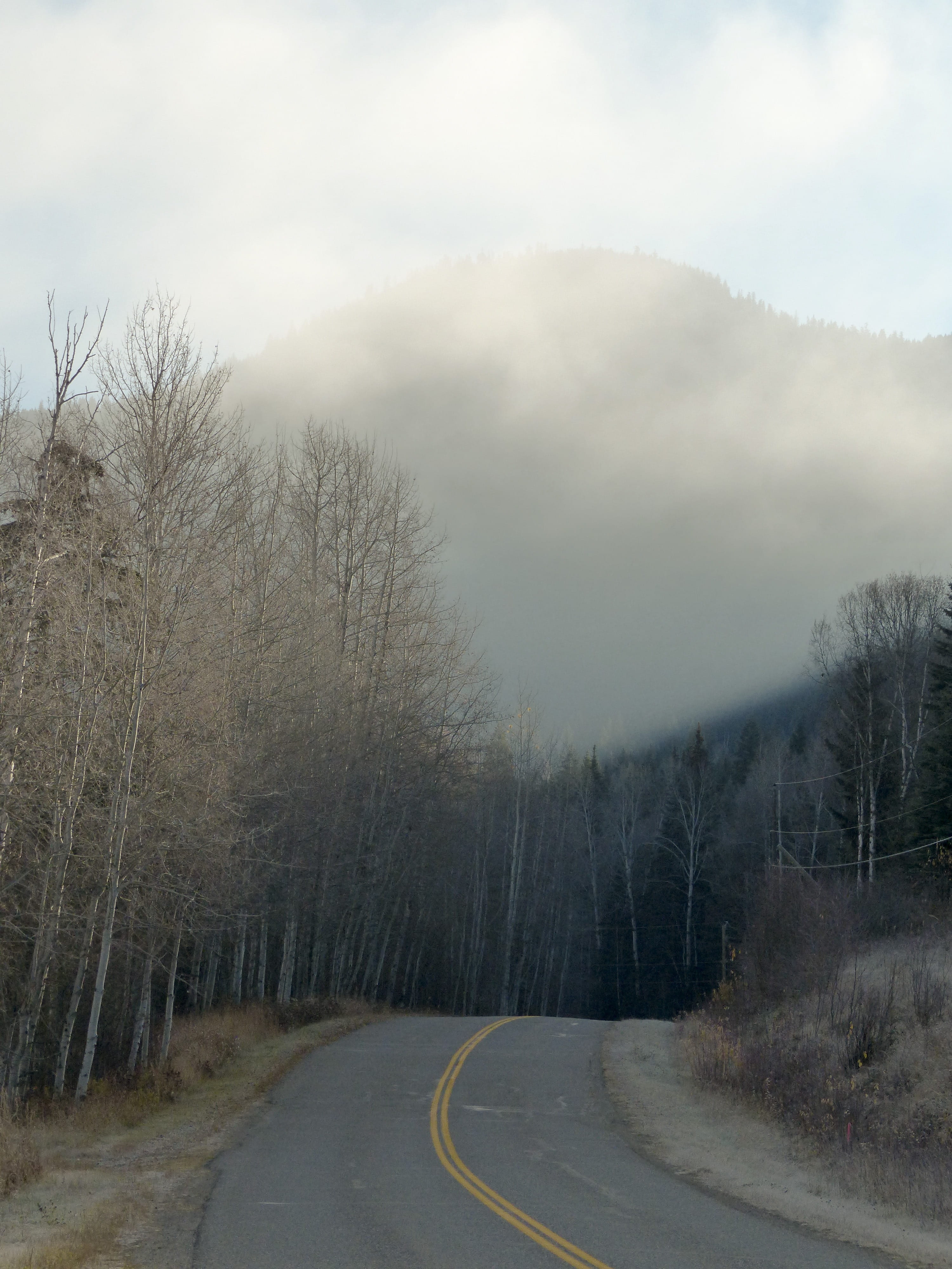 clouds, no people, first frost, mountain, tranquility, plant, sky, early morning, british columbia, outdoor, direction, mood, nature, the way forward, road, Phone HD Wallpaper
