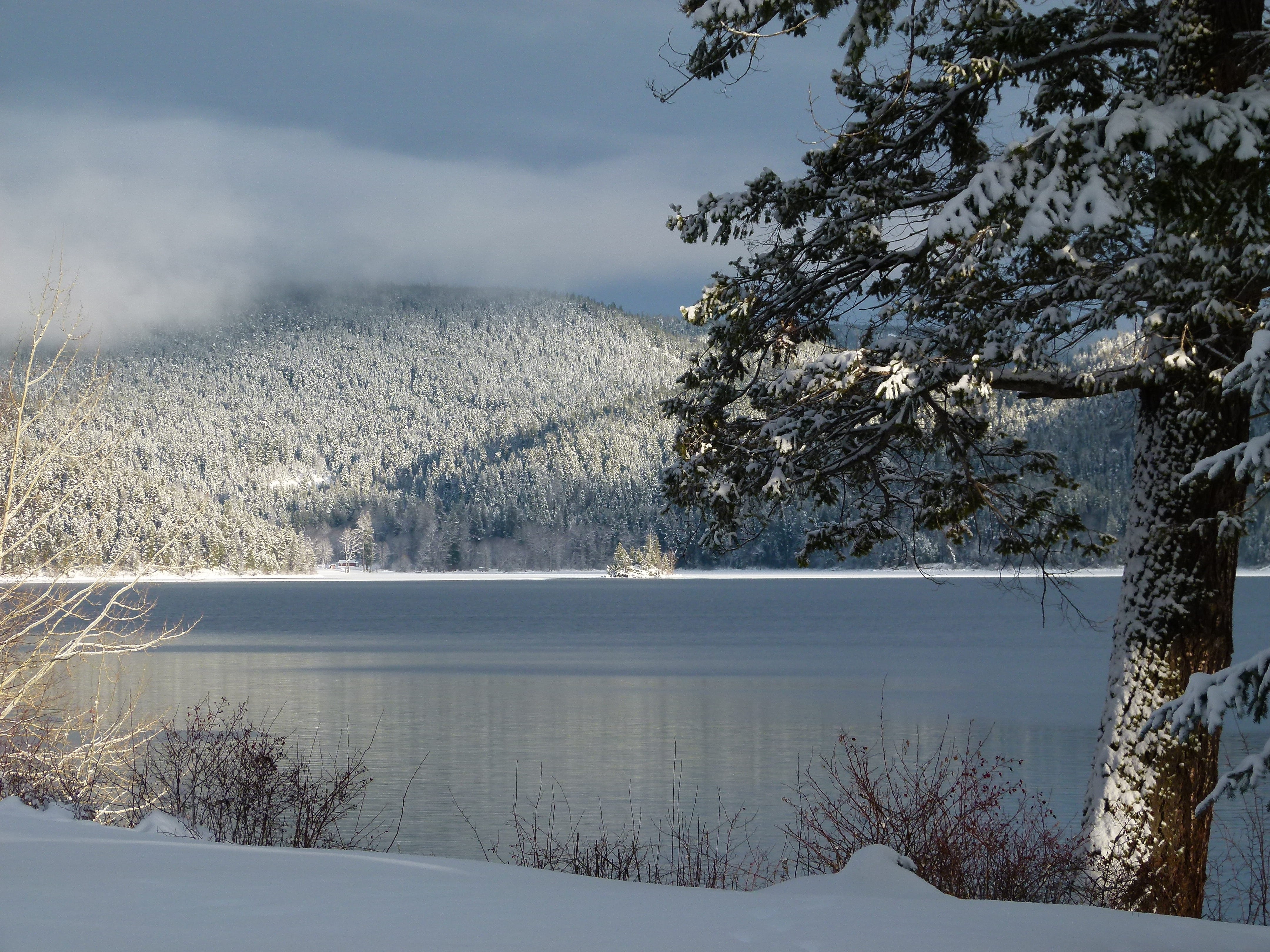 coniferous tree, canada, Landscape, water, sky, cariboo, no people, winter magic, nature, winter dream, lake, beauty in nature, mountains, pine woodland, HD Wallpaper