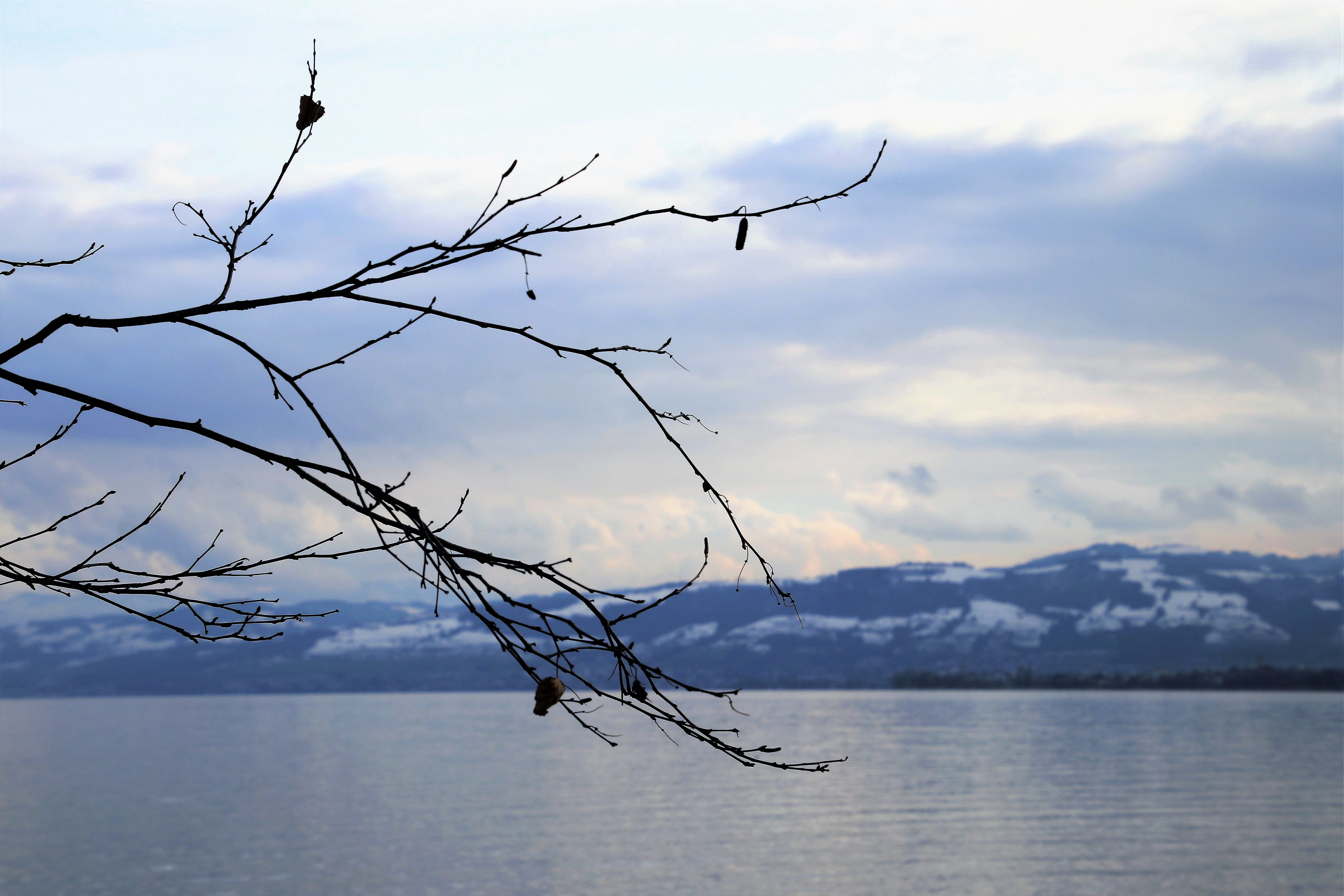 the wave is reflected, the beauty of the mountains, bare tree, winter, leafless, reflection, spacer, the horizon, cloud - sky, clouds, lake, scenery, mountains, HD Wallpaper