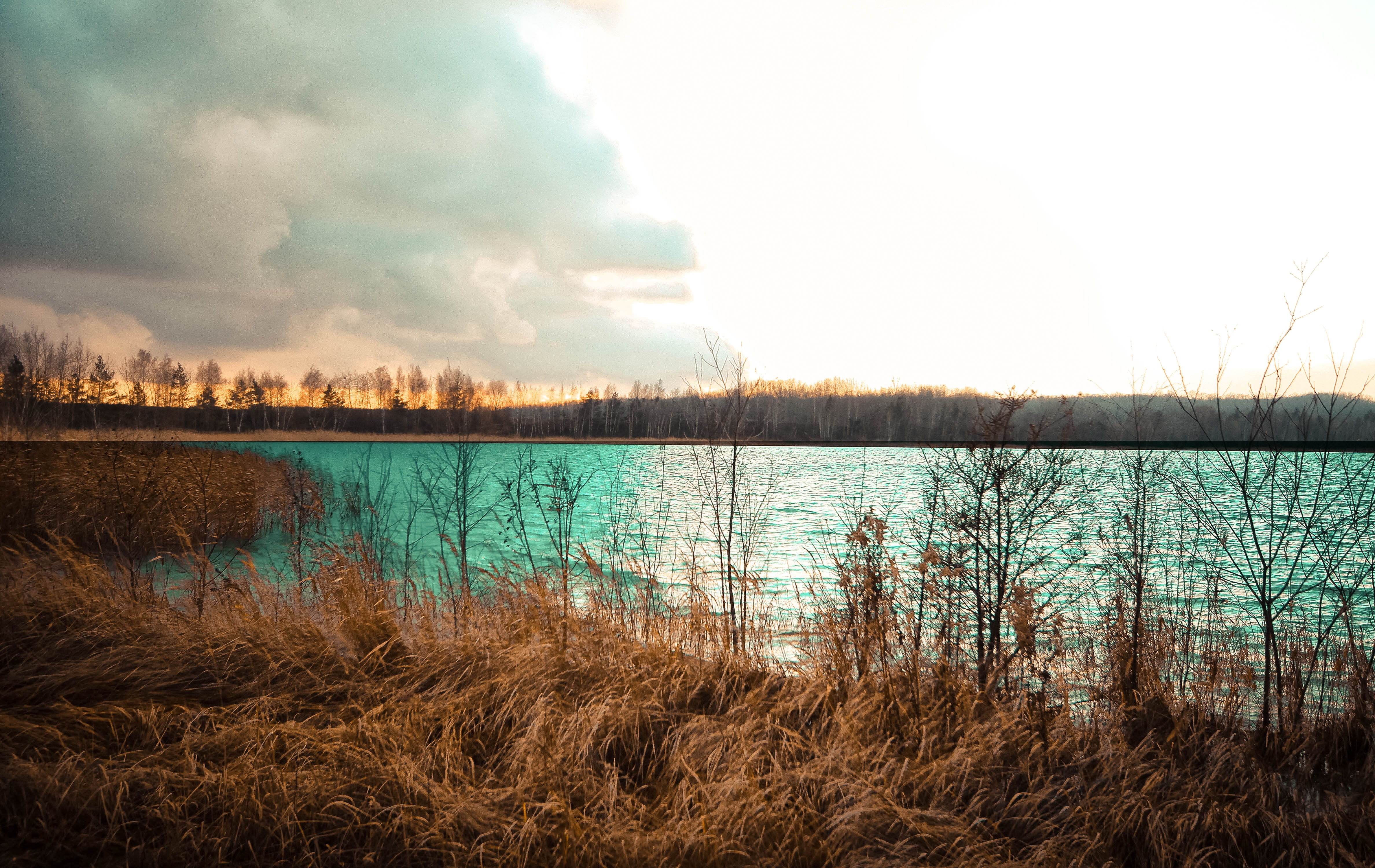 evening, tranquility, no people, sunset, cloud cover, lake, water, daytime, colors of the sky, beach, grass, near, tranquil scene, sky, twilight, the bushes, HD Wallpaper