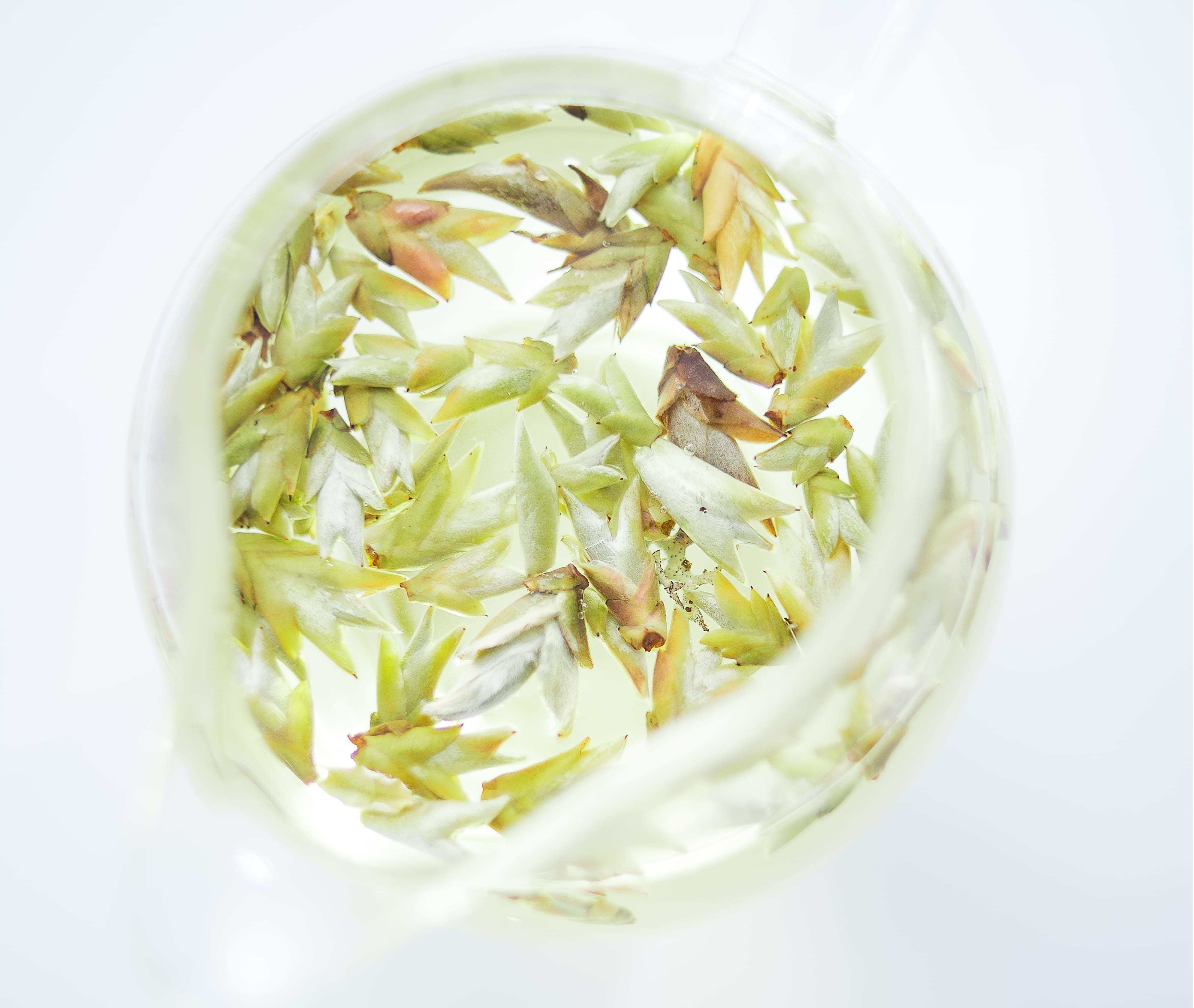 green color, pu-erh, 4K, still life, water, food, fresh, healthy eating, cut out, indoors, teapot, clear, light, wellbeing, drink, beverage, close-up, HD Wallpaper