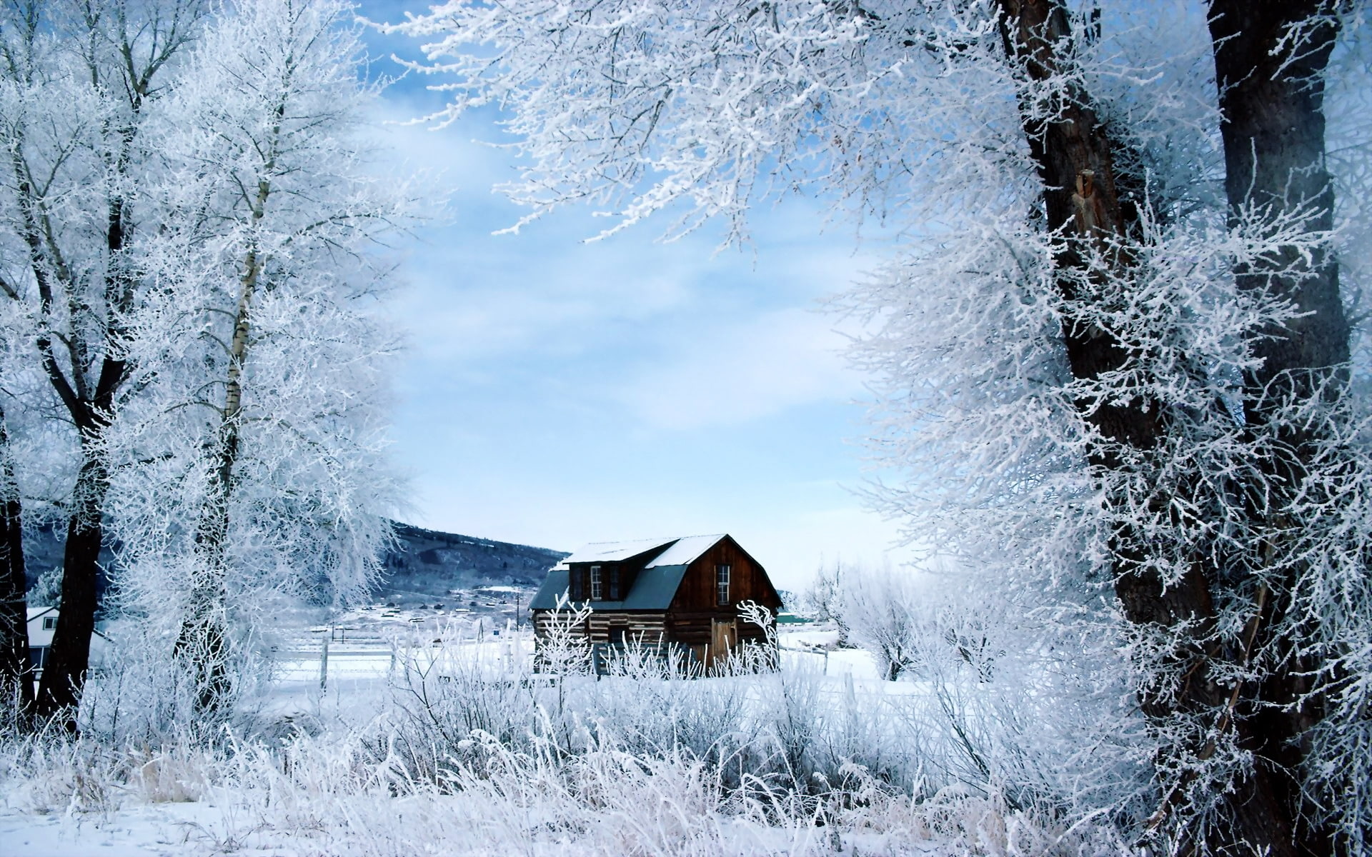 snow, 1080P, trees, nice, house, day, winter, HD Wallpaper