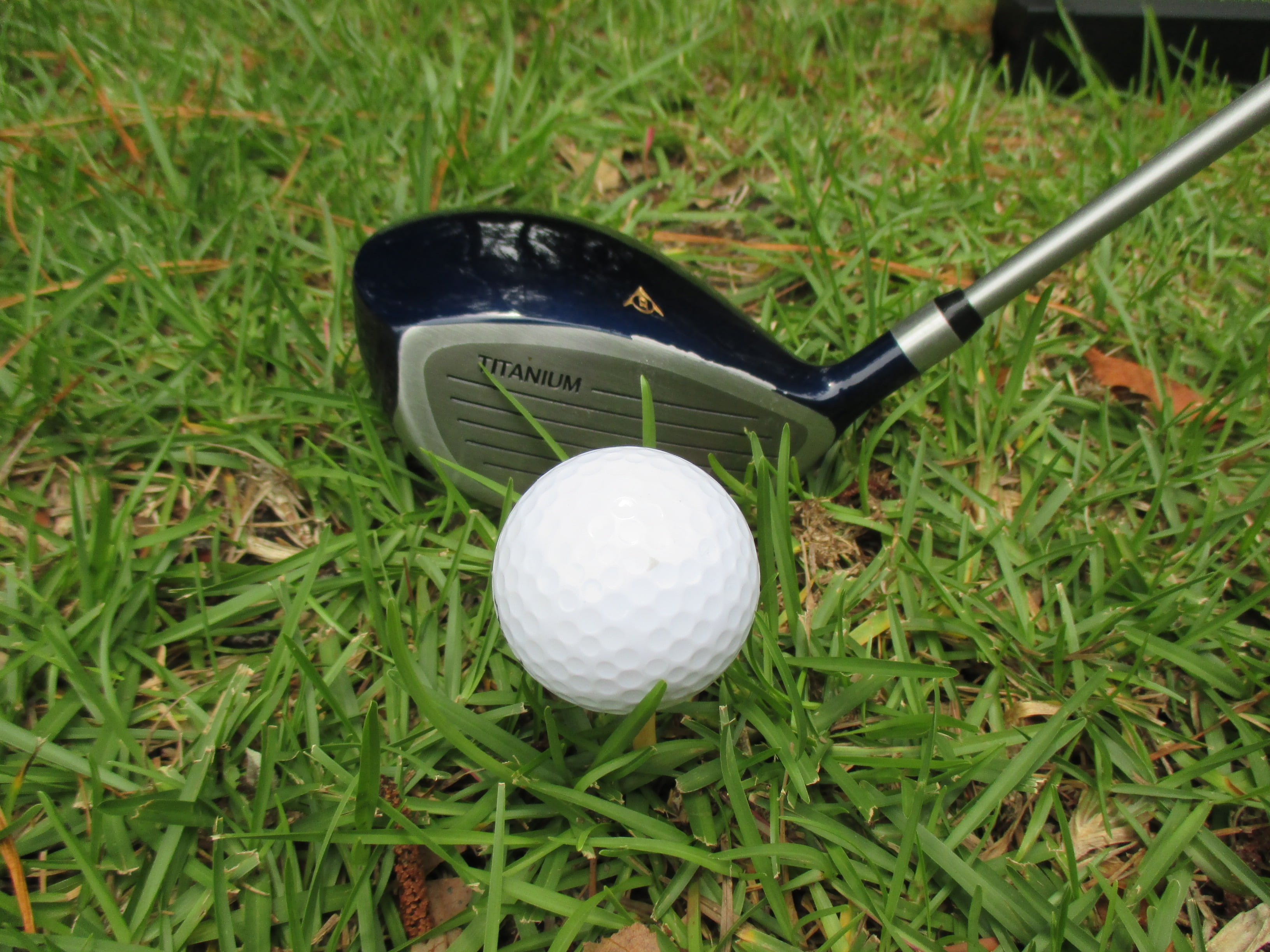 golf ball, driver - golf club, day, golf club, playing, high angle view, leisure activity, driver, equipment, 2K, nature, green, grass, taking a shot - sport, HD Wallpaper