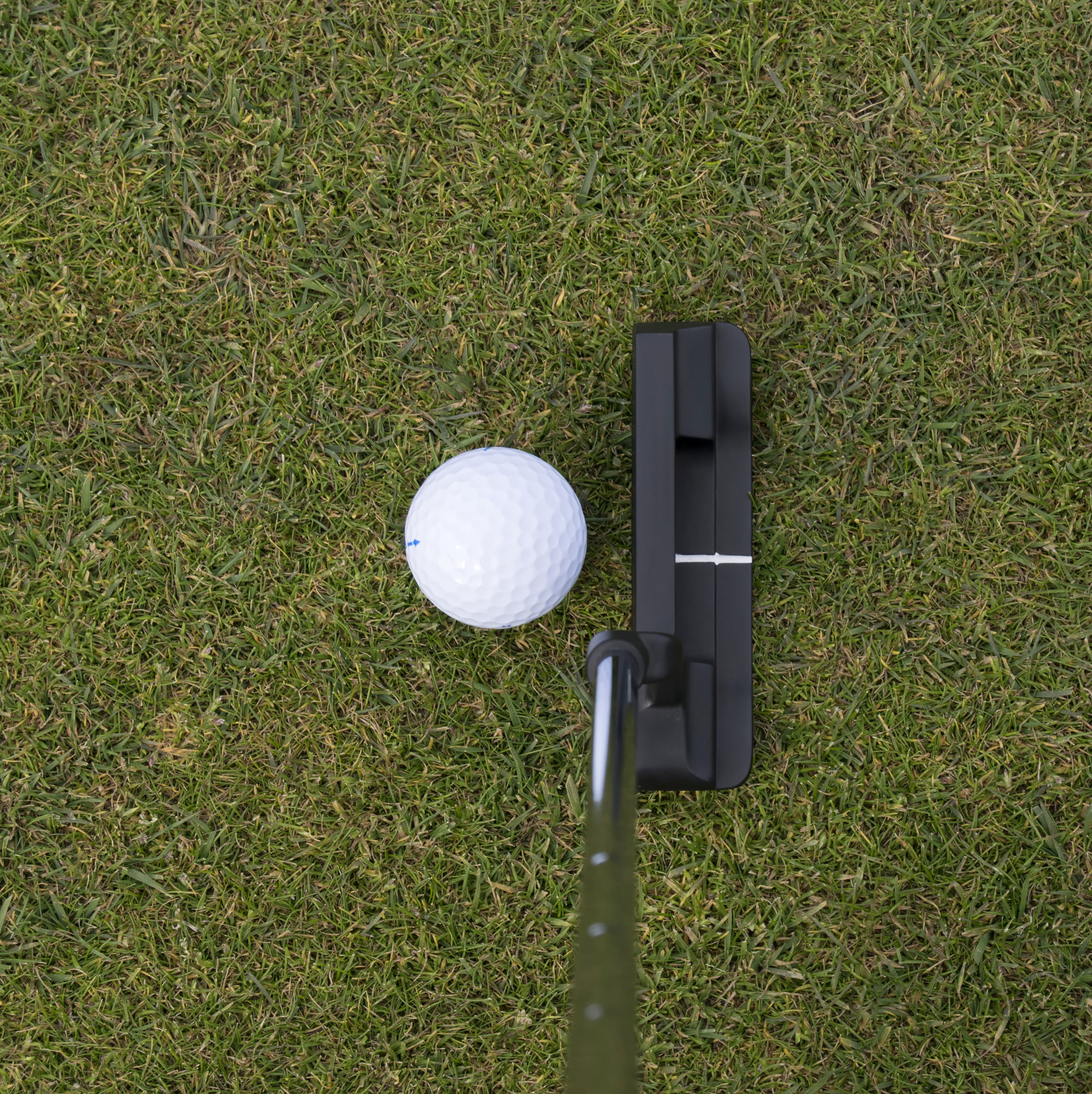 golf, course, golf ball, driver - golf club, still life, sport, equipment, nature, day, recreation, golfing, golf course, no people, outdoors, putting, Phone HD Wallpaper