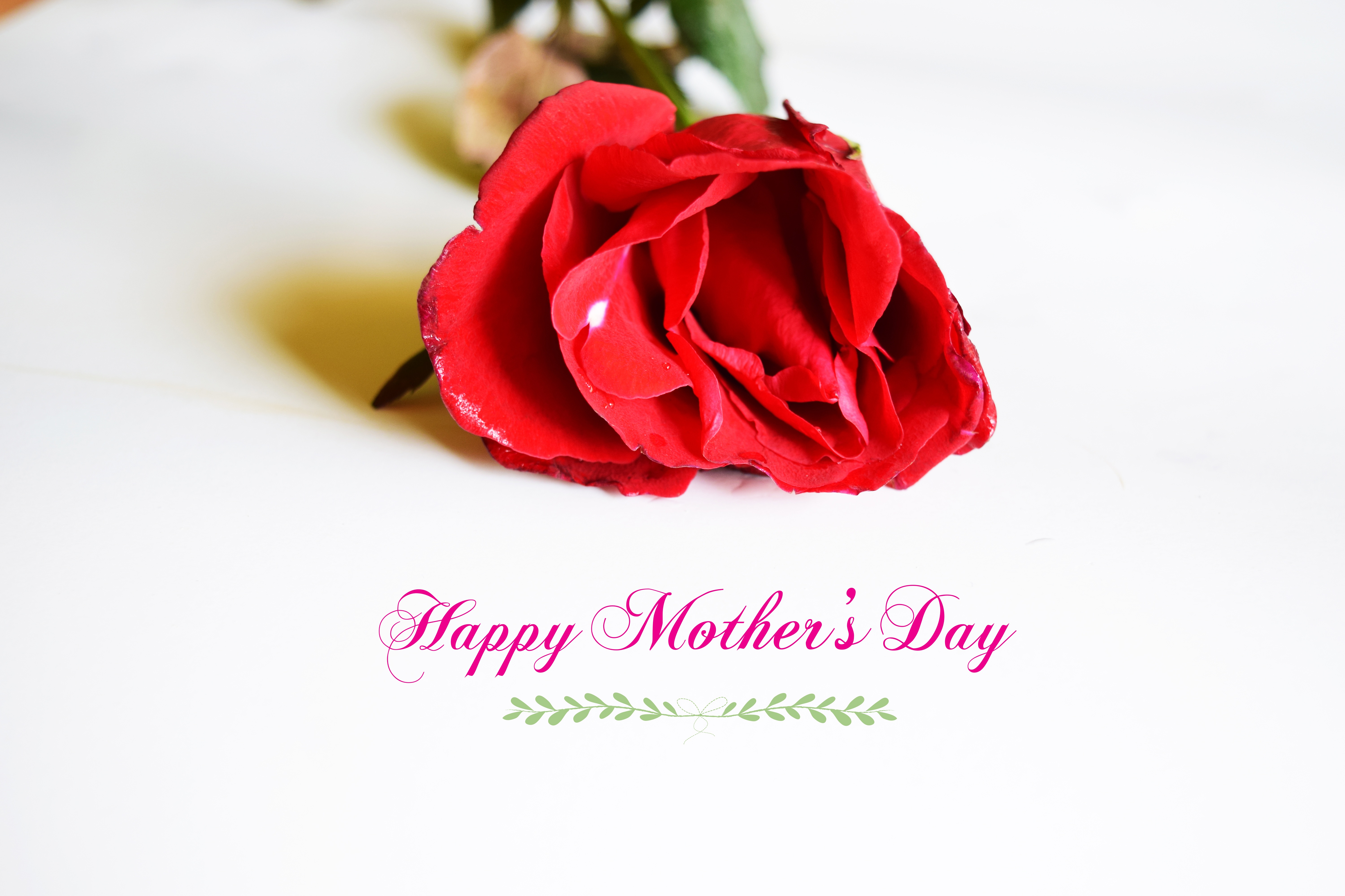 flower gift, s, bow, bouquet, label, love, pretty, communication, happy, march, petal, no people, purple, flower arrangement, card, mother, vulnerability, HD Wallpaper
