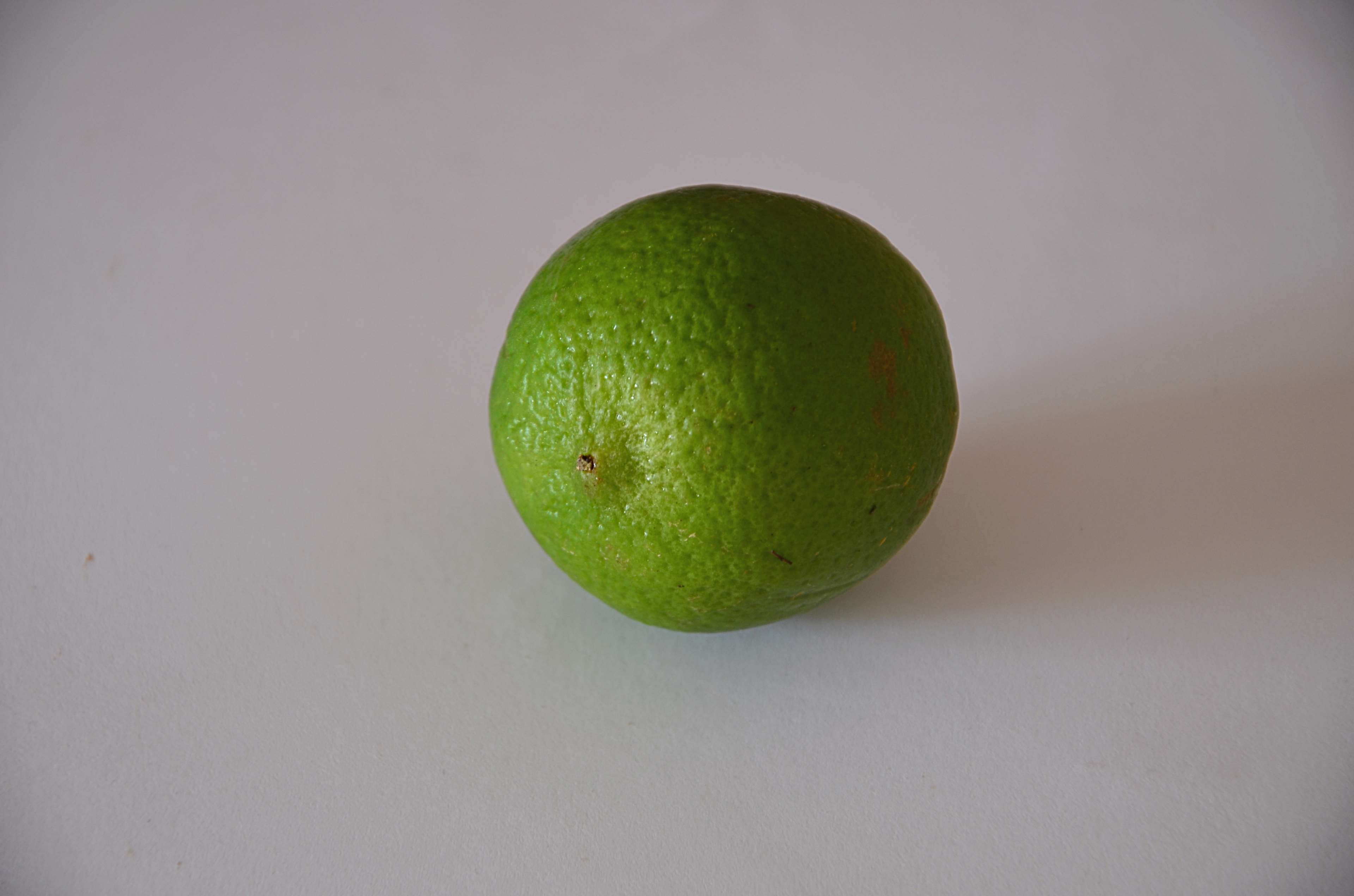 copy space, tropical fruit, cut out, freshness, saveur, still life, 4K, alimentation, citron, no people, healthy eating, citron vert, close-up, white background, HD Wallpaper