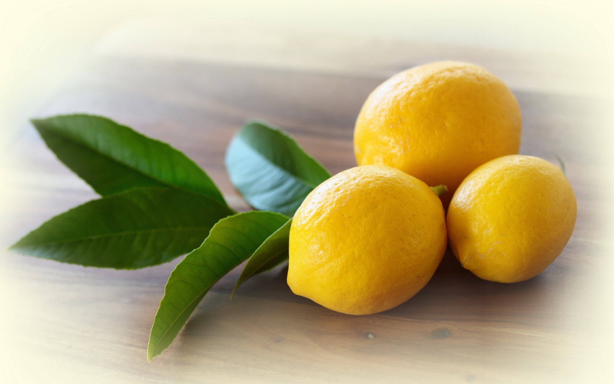 citrus fruit, close-up, plant part, leaf, plant, Citron, Leaves, Yellow, nature, fruit, food and drink, freshness, green color, ripe, orange, studio shot, HD Wallpaper