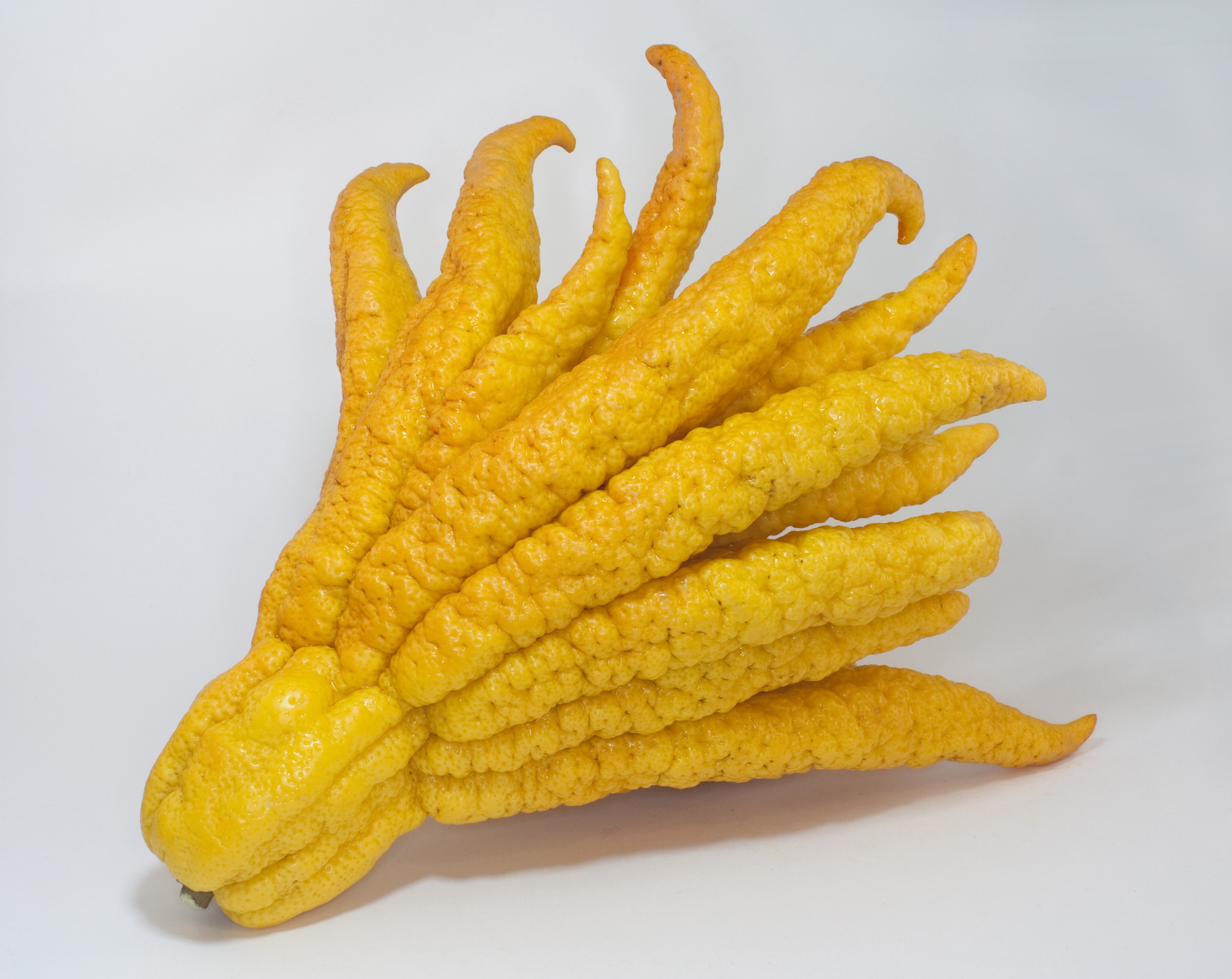 ready-to-eat, indoors, yellow, vegetable, fast food, close-up, wonderful, potato, exotic, fingered citron, prepared potato, buddhas hand, studio shot, still life, HD Wallpaper