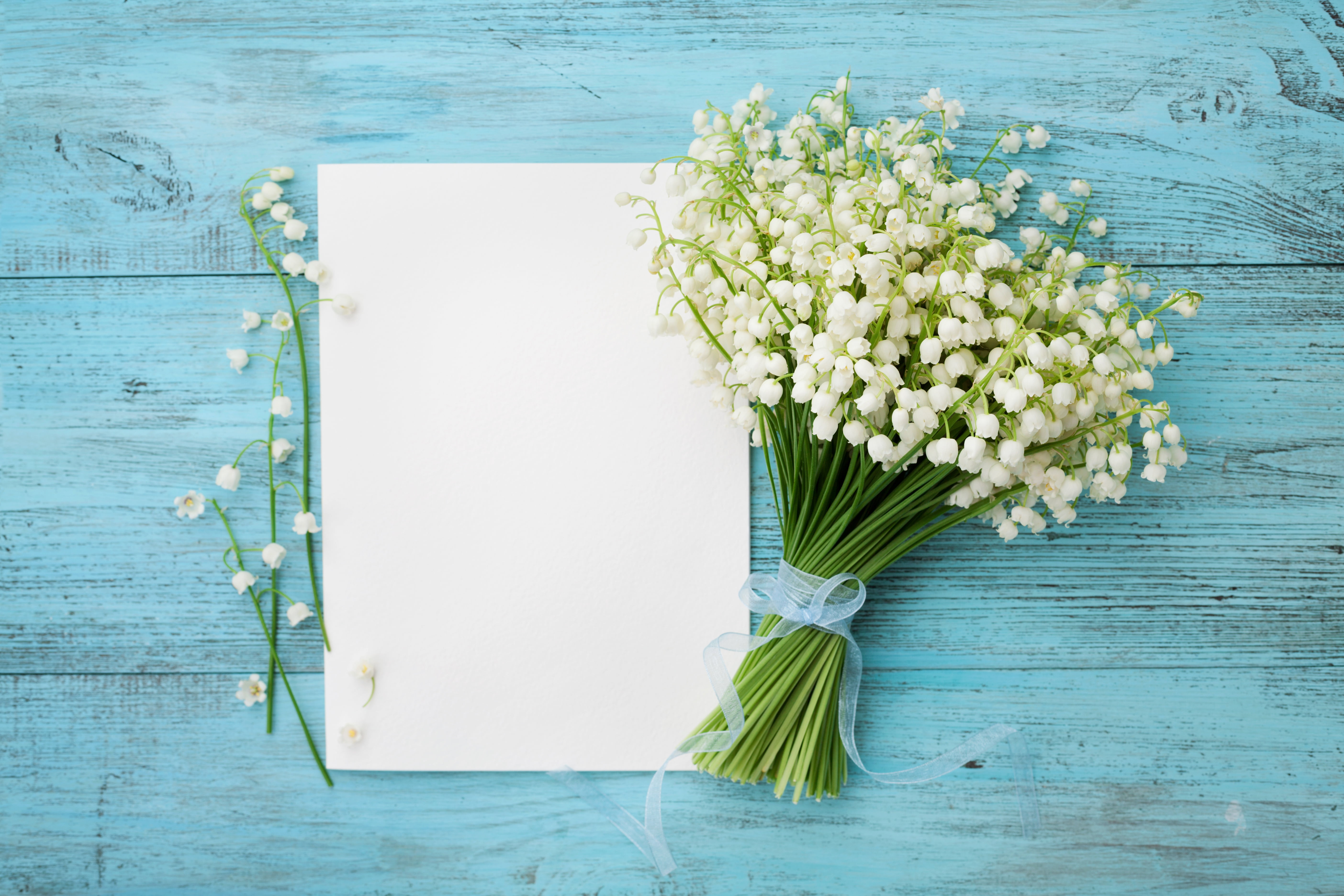 spring, nature, still life, plant, flowers, flower head, wood - material, wellbeing, bouquet, no people, directly above, bunch, 5K, wood, lily, green color, HD Wallpaper