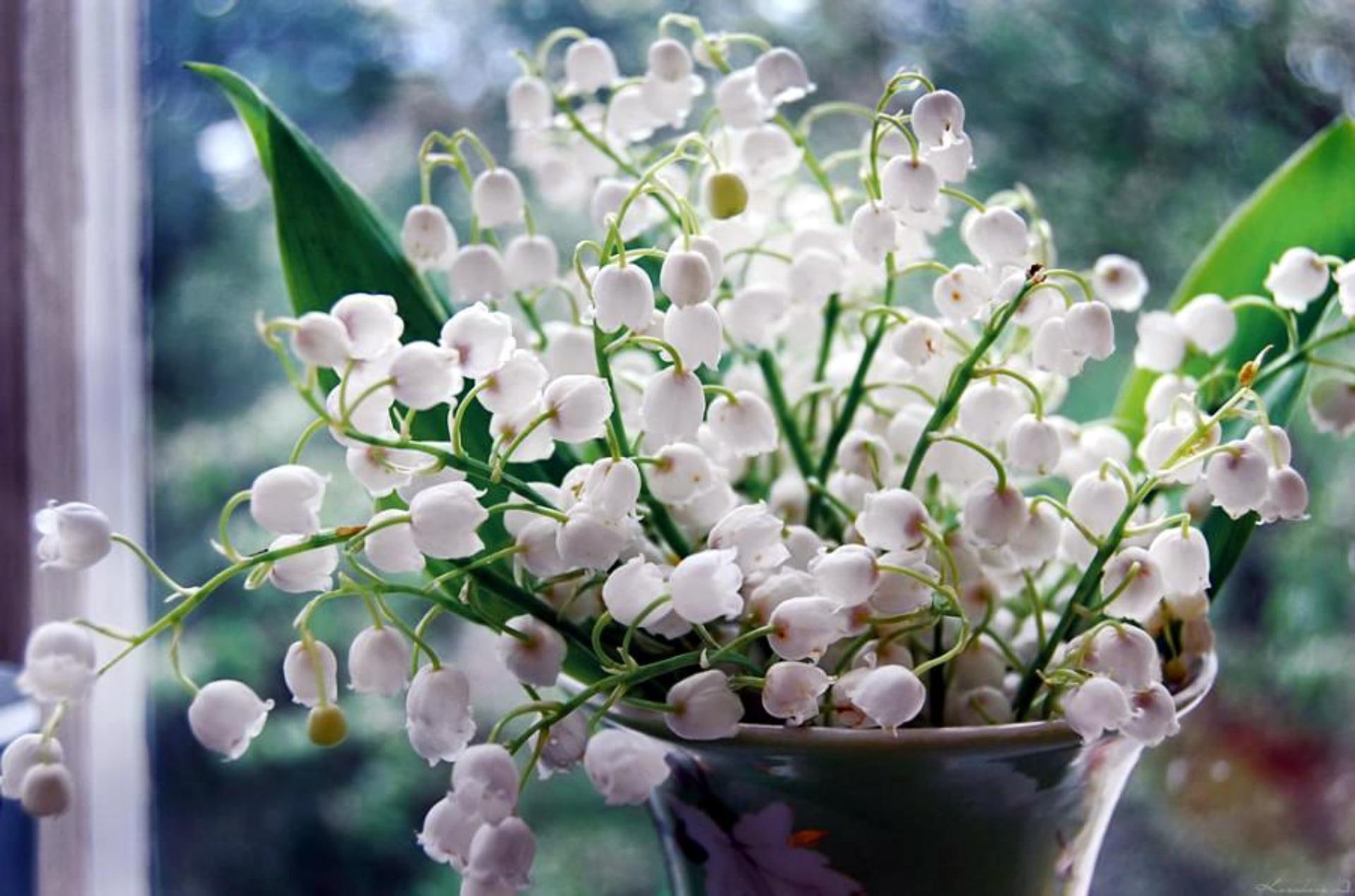 lilys, vase, simple, white flowers, lilys of the valley, window, 1080P, 3d and abstract, HD Wallpaper