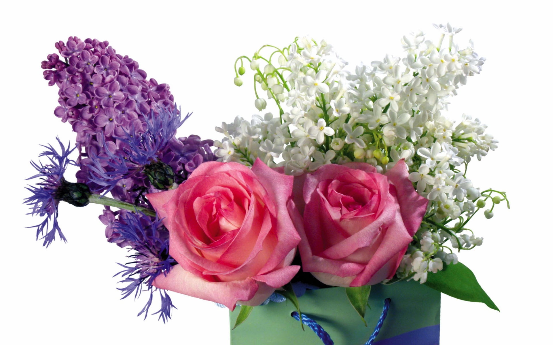 close-up, lilac, 1080P, no people, green Color, flowering plant, isolated, celebration, elegance, flower, multi Colored, decoration, flower Head, bunch, HD Wallpaper
