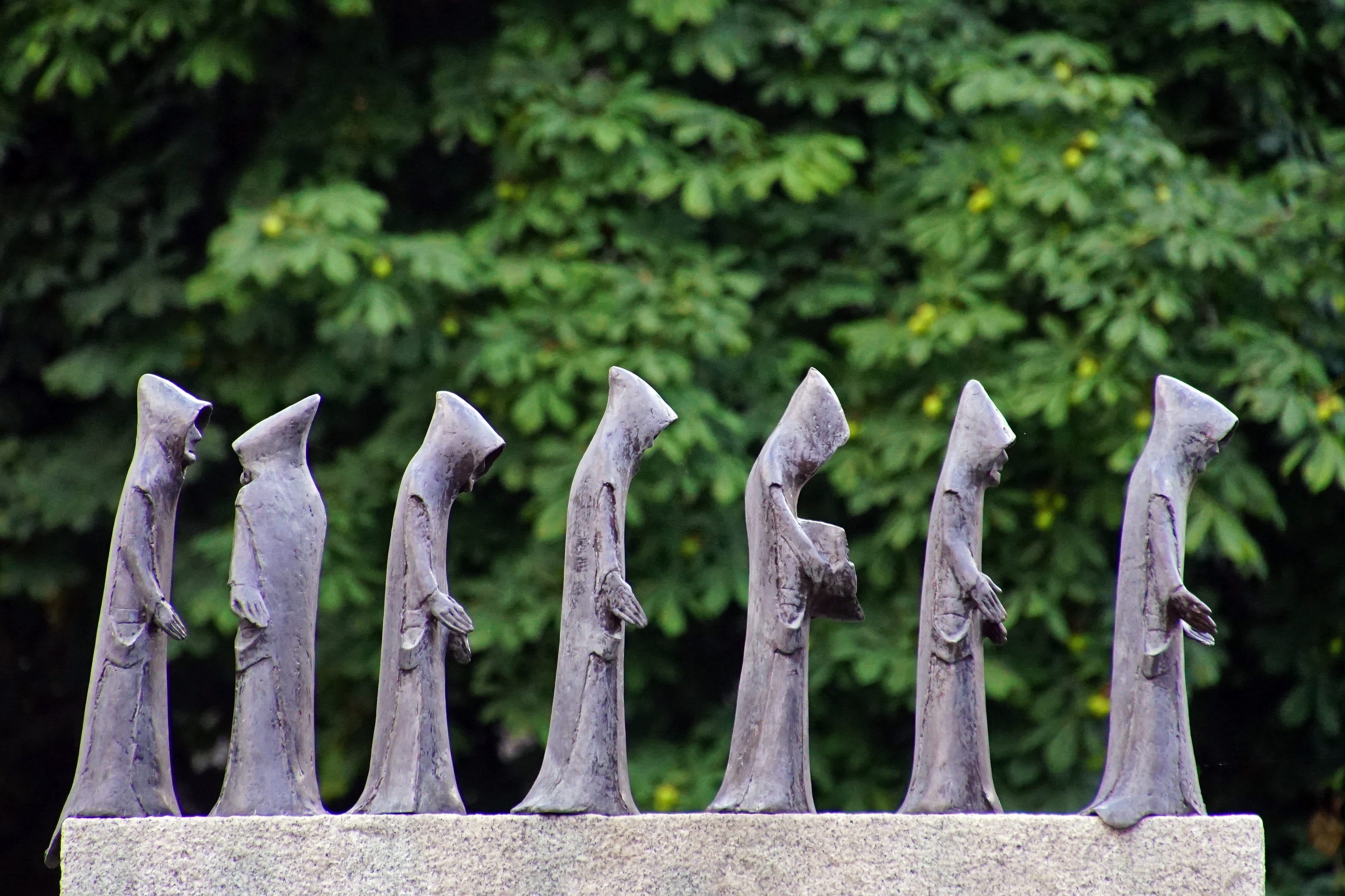 barrier, wood - material, focus on foreground, plant, boundary, carthusians, silence, walk, silentium, protection, memorial, grave, 4K, religious order, HD Wallpaper