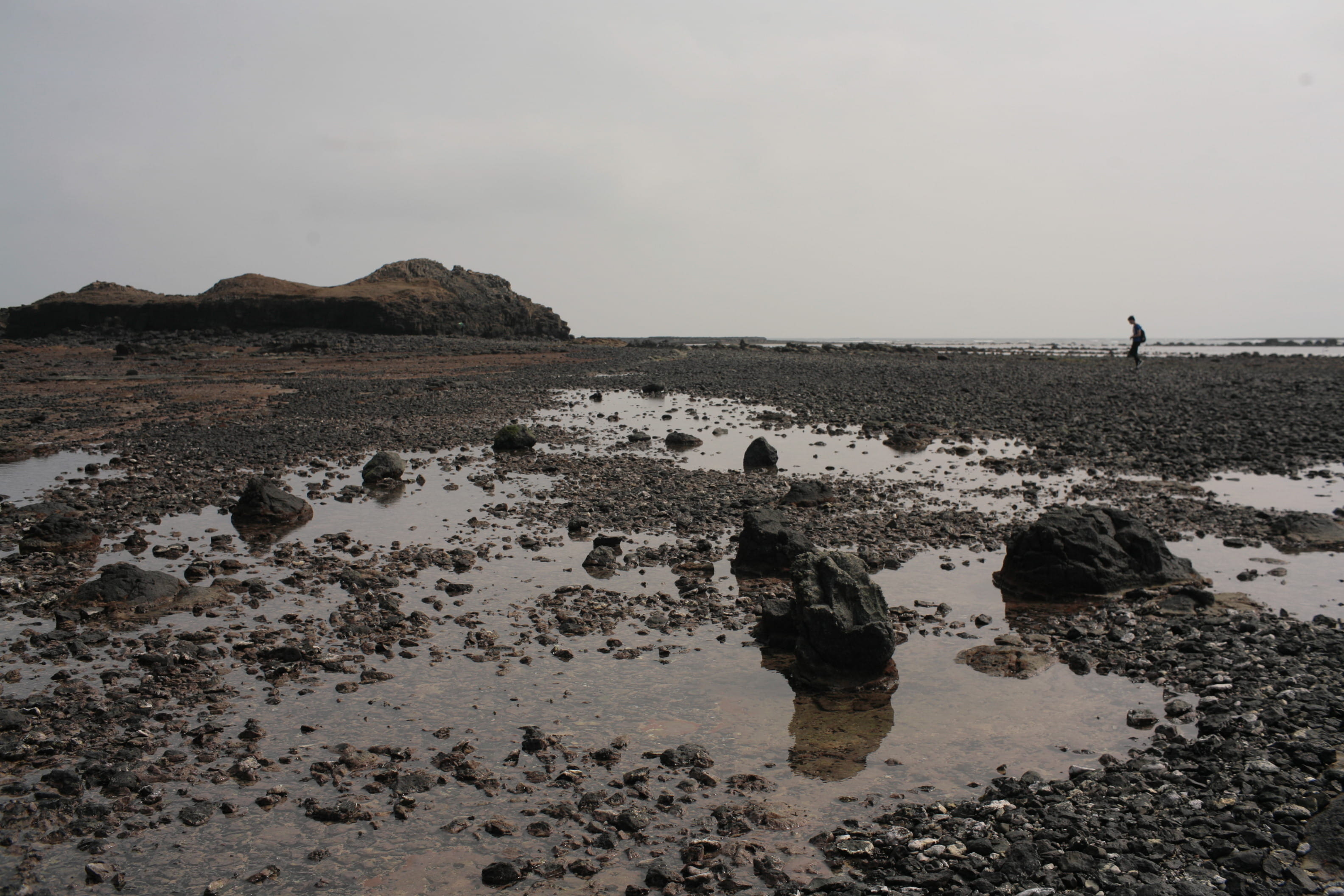 ground, home decor, pebble, mud, pollution, dirt road, nature, scenics - nature, beauty in nature, outdoors, oil spill, cattle, water, mammal, rock, bird, HD Wallpaper