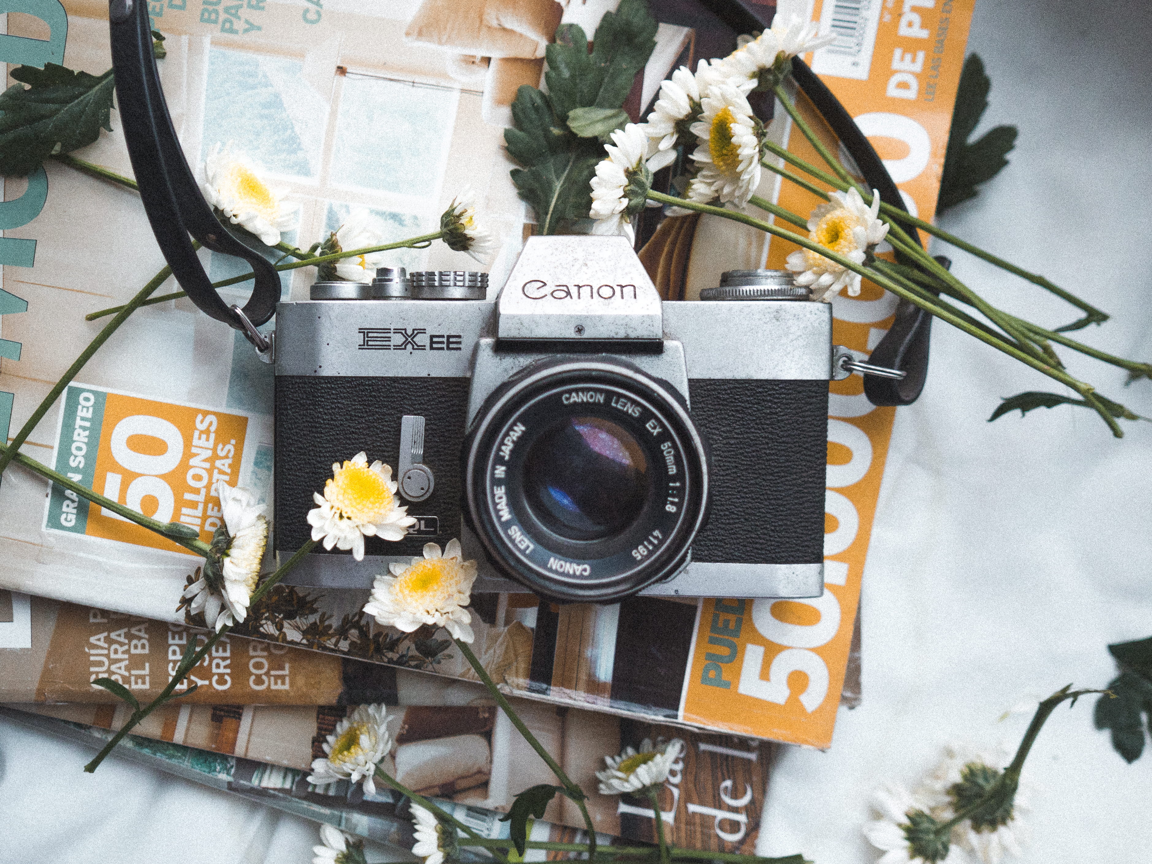 flat lay, still life, close-up, vintage, petaled, flatlay, digital camera, creativity, slr, flowering plant, daisy, retro styled, exee, technology, camera, HD Wallpaper